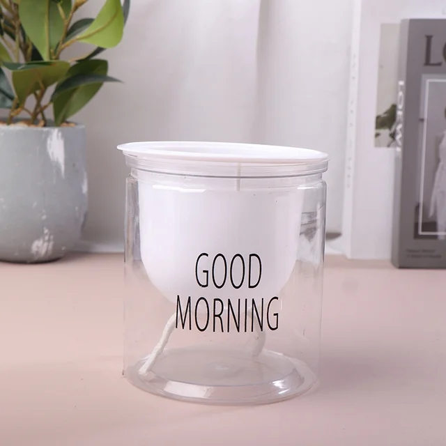 Lazy Hydroponic Flower Pot Automatic Water-Absorbing Flowerpot Transparent Double Layer Plastic Self Watering Planter Office
