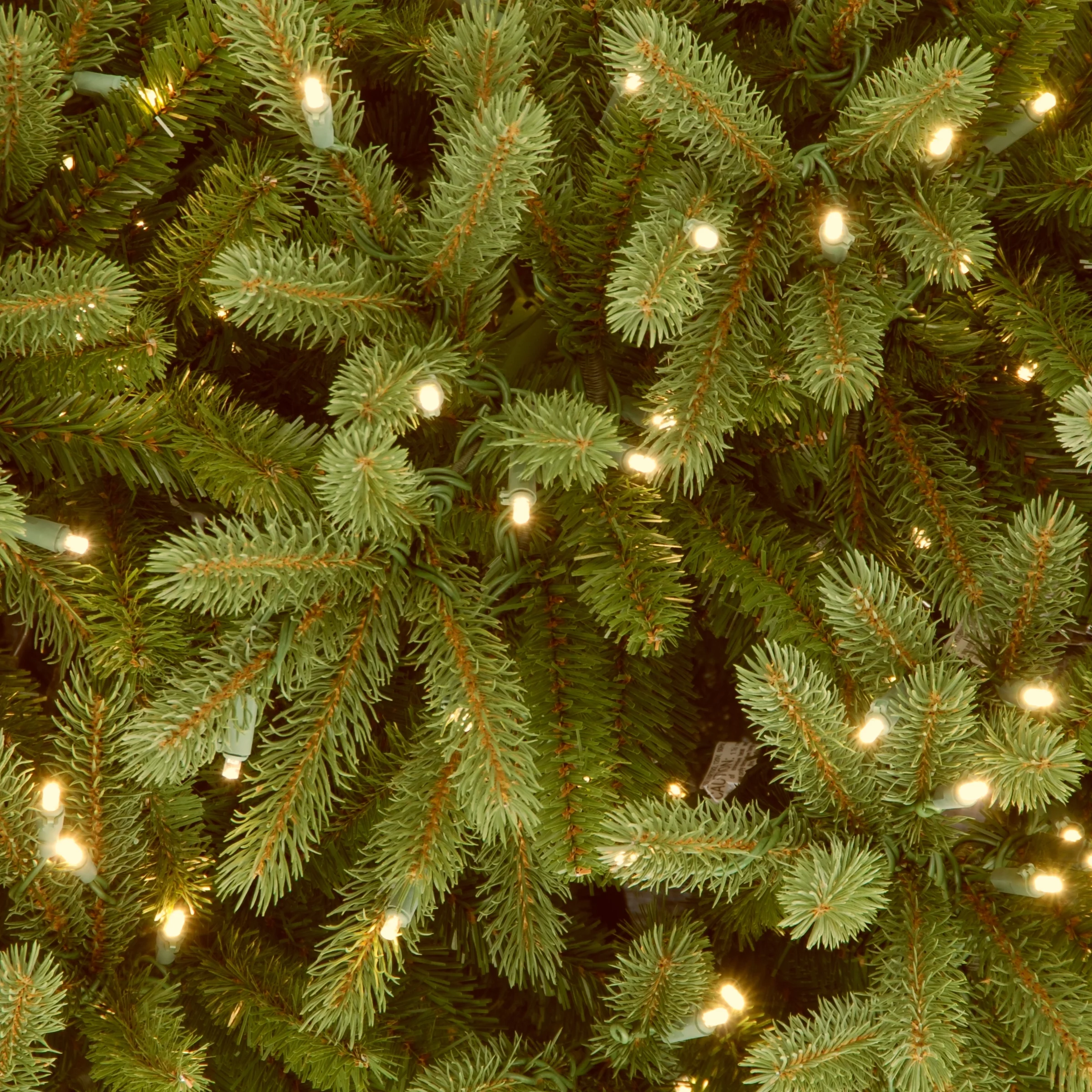 6.5 ft. Jersey Fraser Fir Tree with Clear Lights