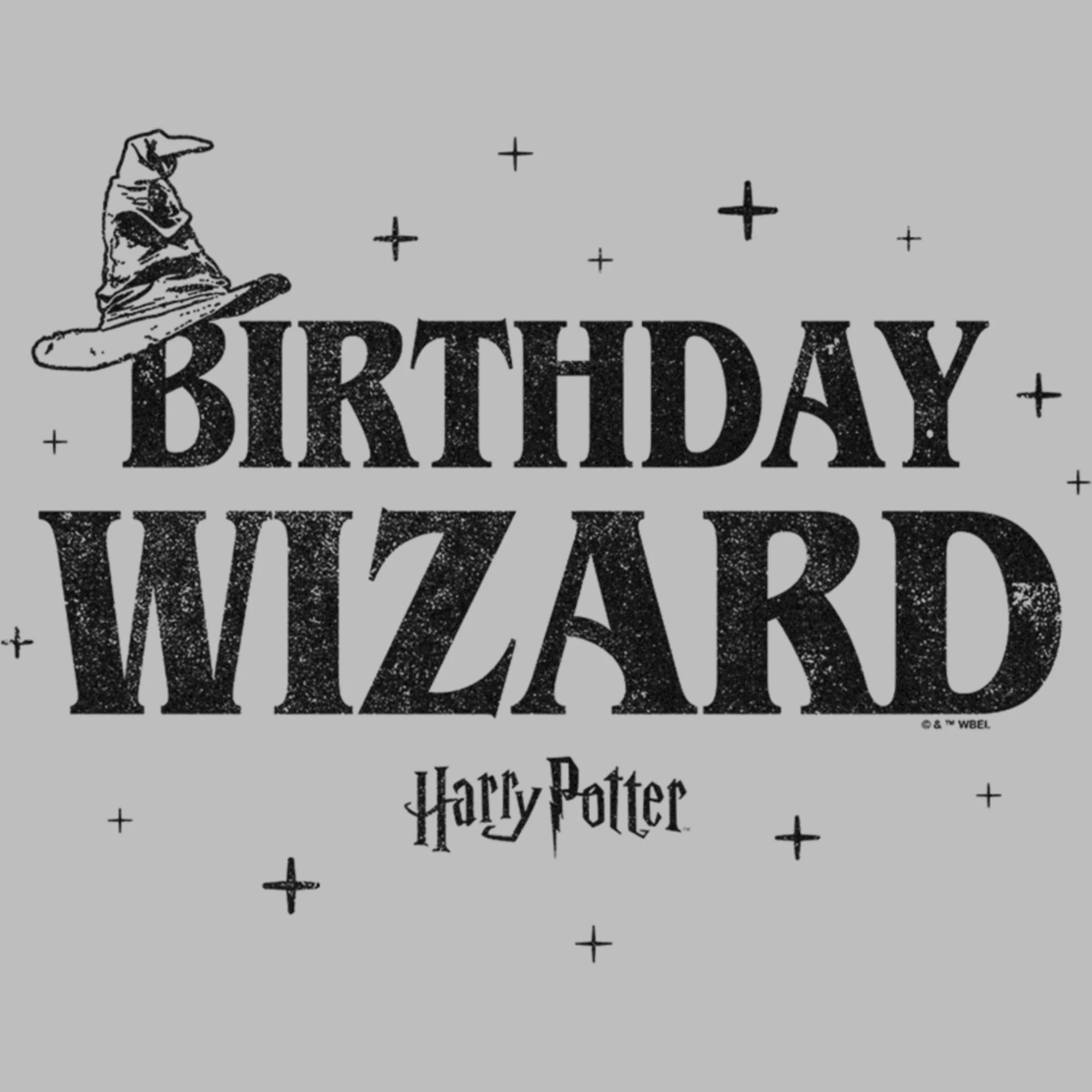Men's Harry Potter Distressed Birthday Wizard  Graphic Tee Athletic Heather 2X Large