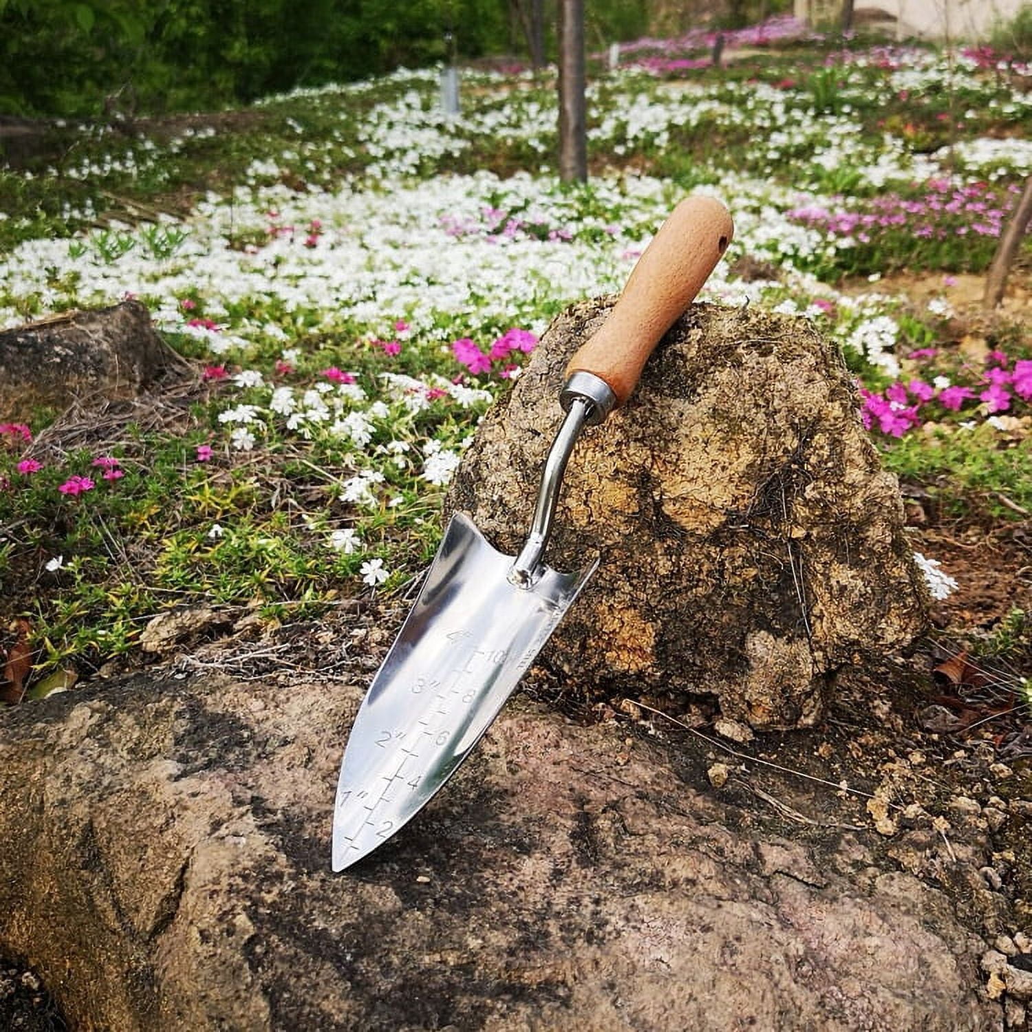 Planting Flowers Gardening Tools Household Set Of Small Shovel Stainless Steel Shovel Shovel Flower Pots Succulent Planting