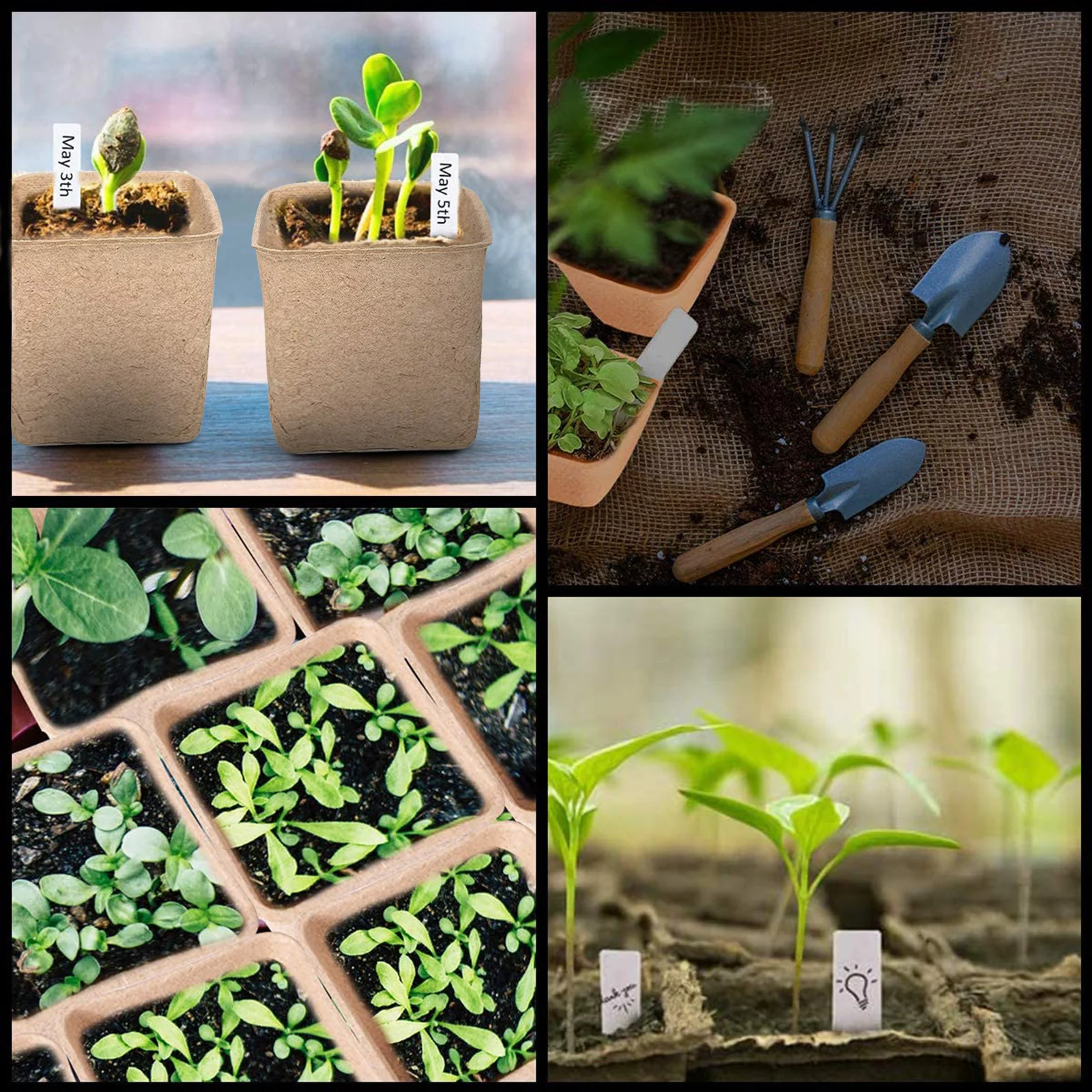 Seed Peat Gardening Seedling Cup Environmental Pulp Molded Flower Pot