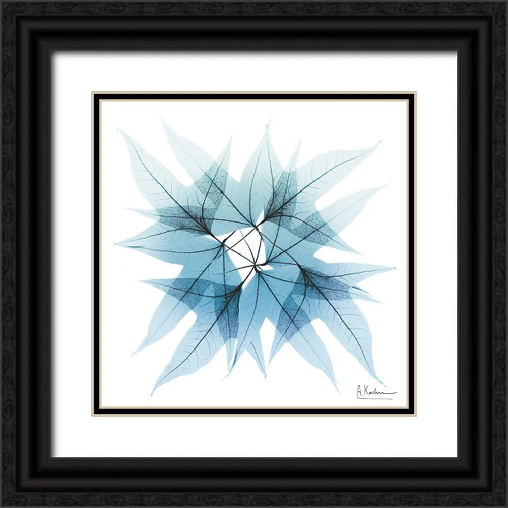 Koetsier, Albert 20x20 Black Ornate Wood Framed with Double Matting Museum Art Print Titled - Iced Trident Maple