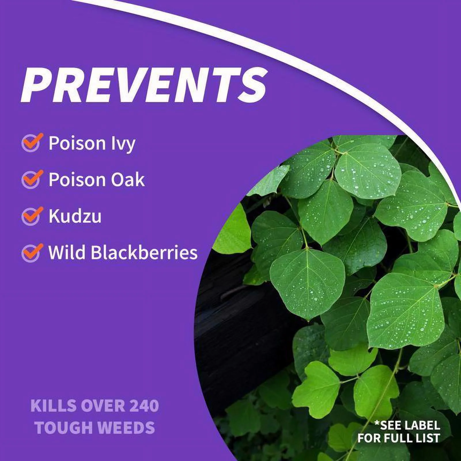 Bonide 331 Non-Volatile MCPA Triclopyr Dicamba Concentrate Brush Killer 32 oz.