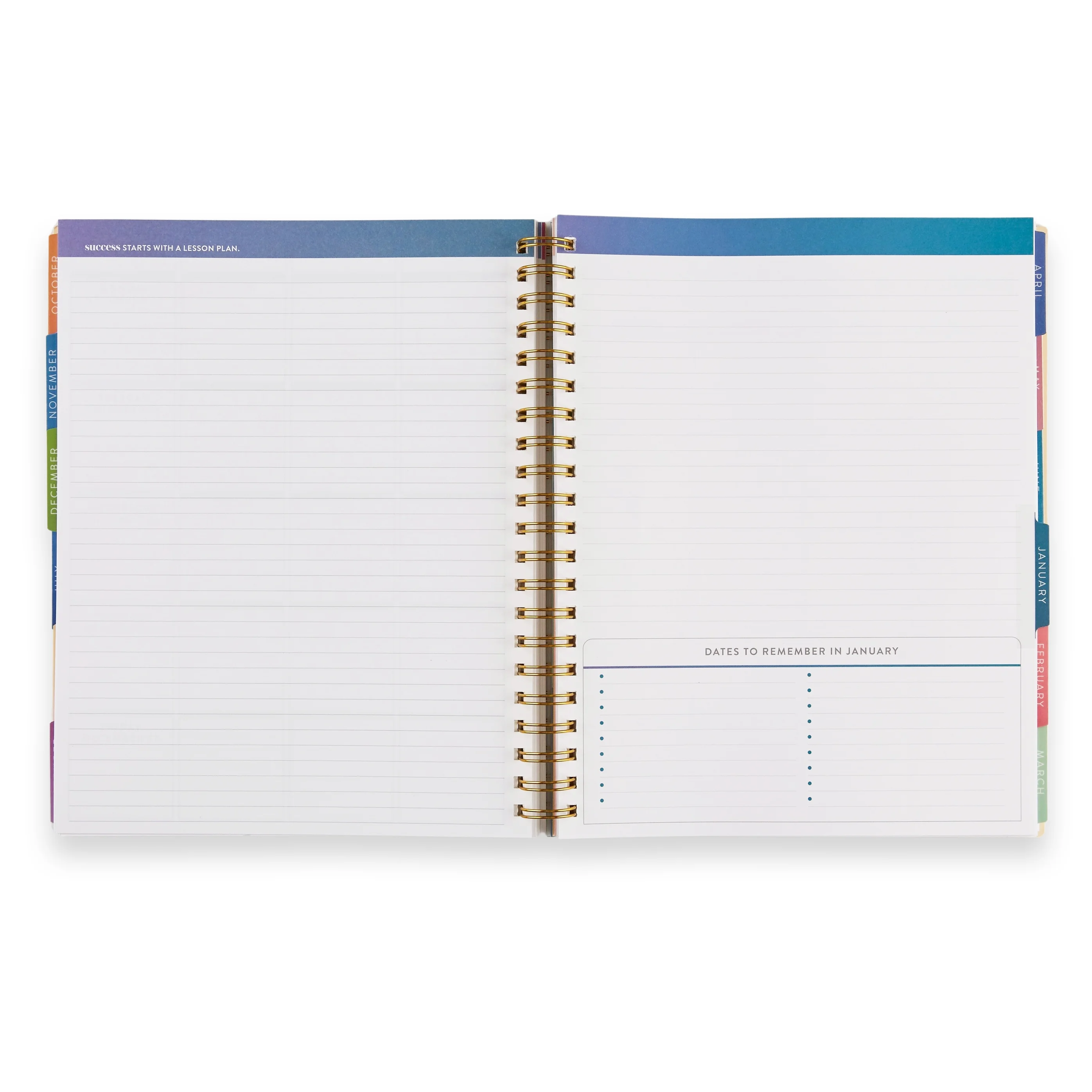 Erin Condren Inspired Collection Large Teacher Planner (July 2024 - June 2025) - School Supplies