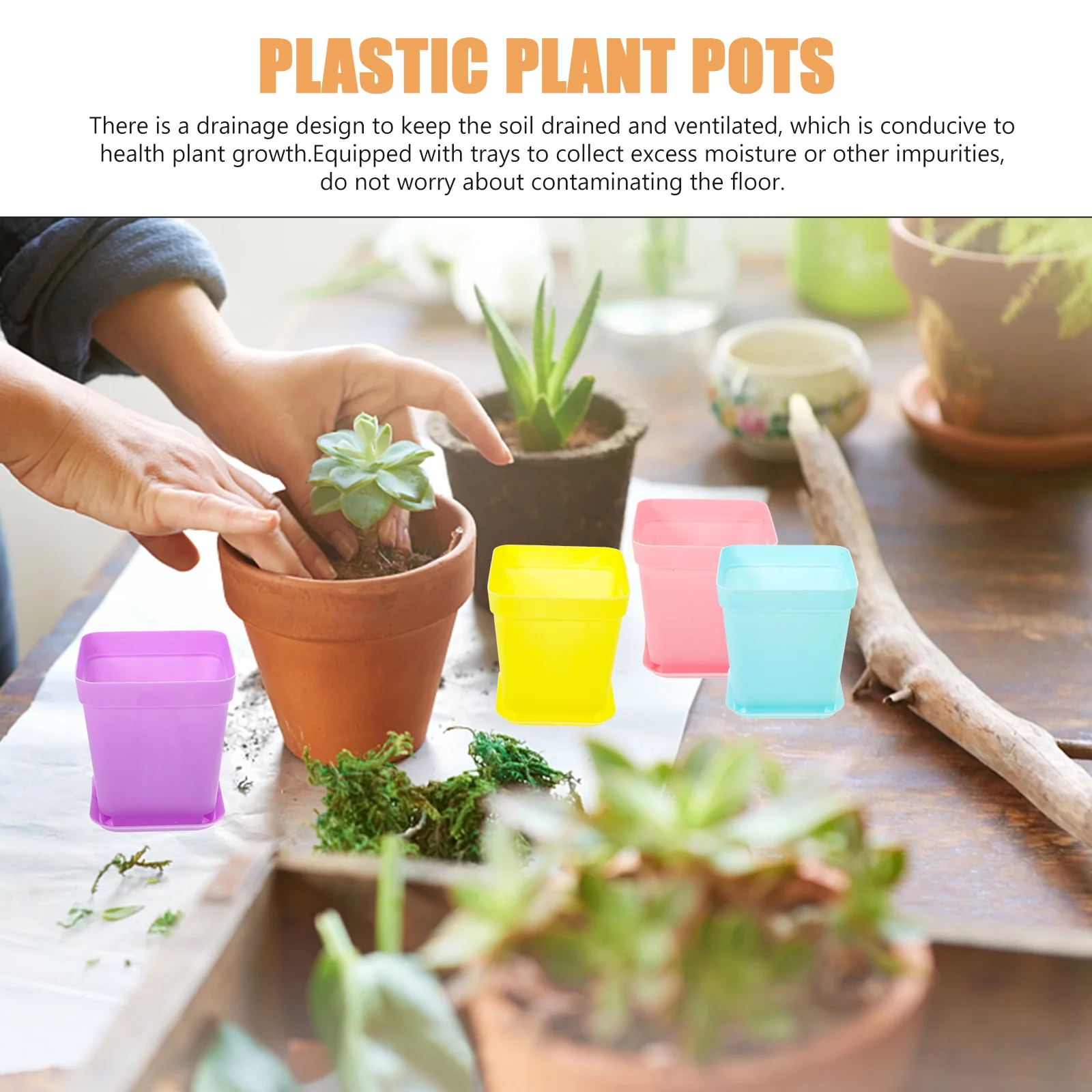 60 Set Plastic Nursery Pot Plant Seedling Planter Square Pp Resin