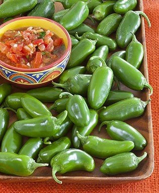 Clovers Garden Mild Jalapeno Pepper Plant - Two (2) Live Plants – Not Seeds – in 3.5 Inch Pots