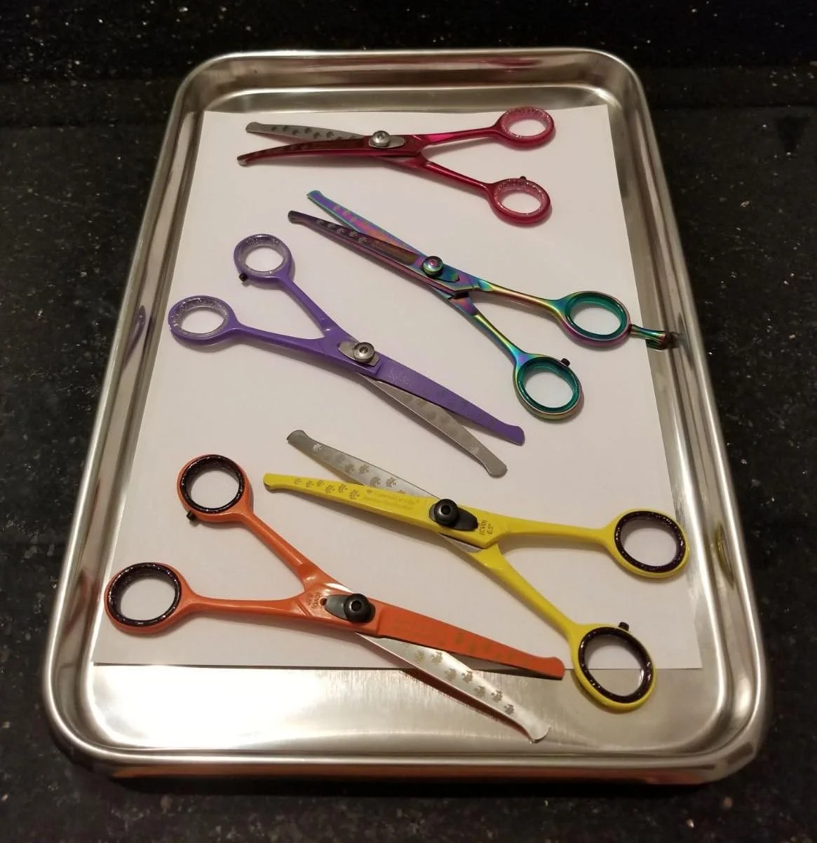 5 PCS Professional Pet Dog Grooming Scissors Shears 6.5