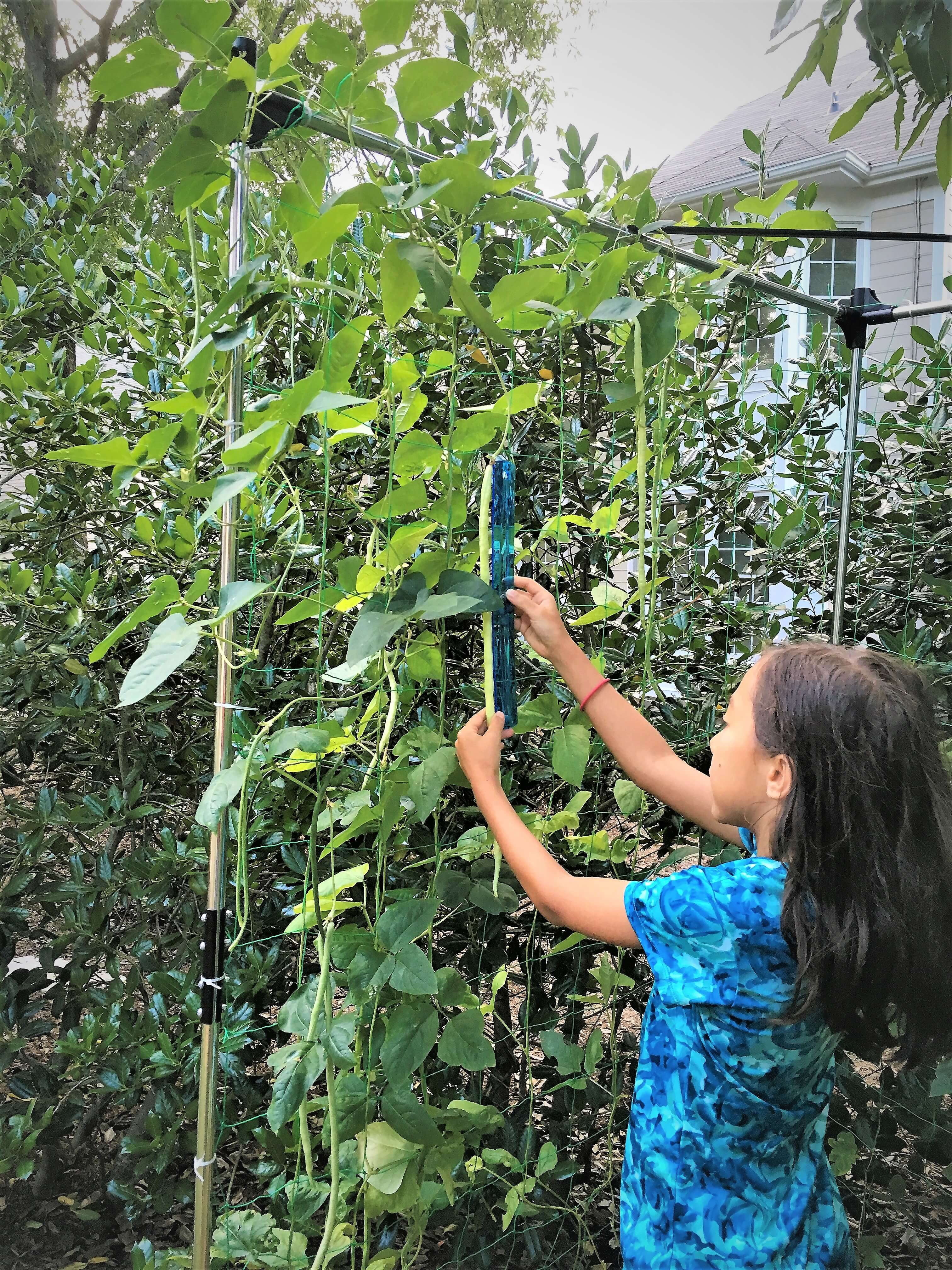 Frame It All Stack & Extend Veggie Wall