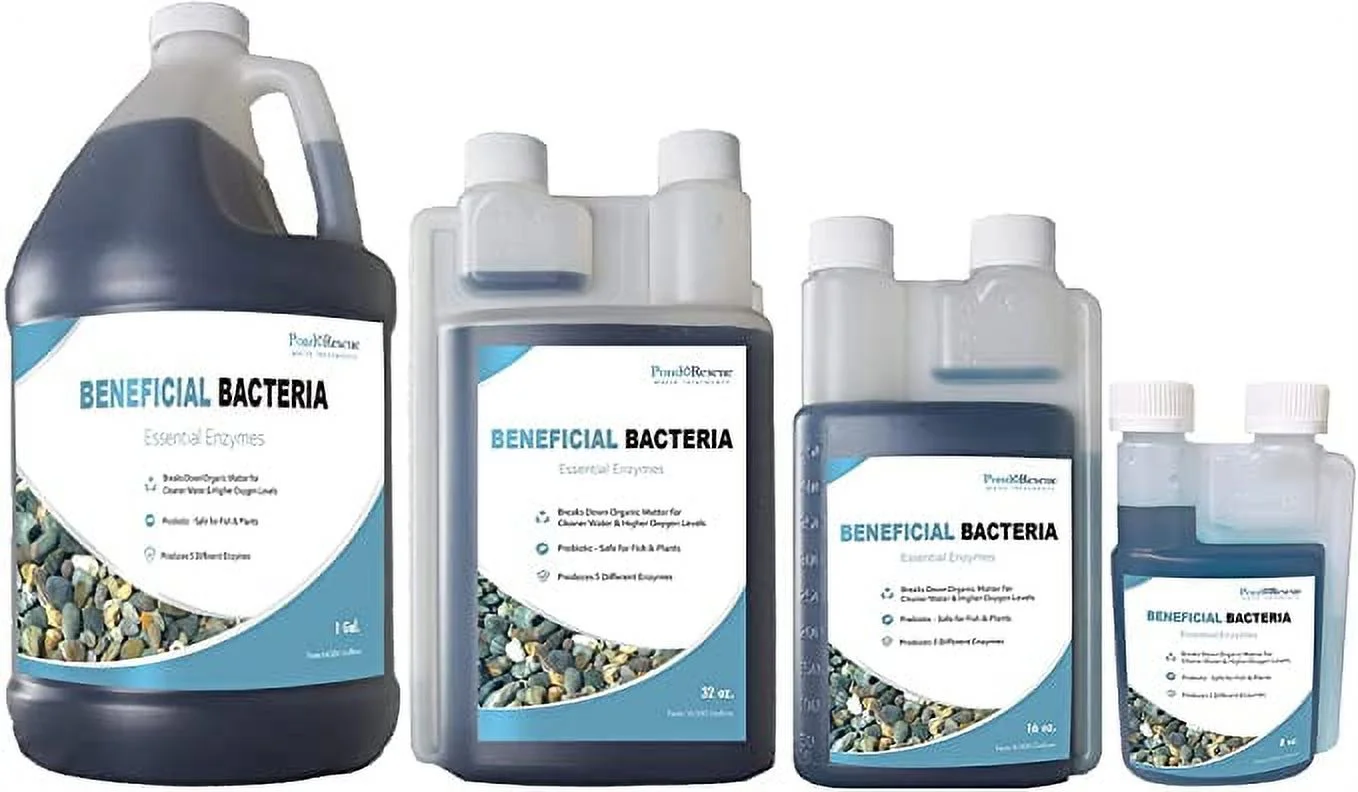 Anjon Manufacturing RBB32OZ Rescue Beneficial Bacteria - 32 Ounces