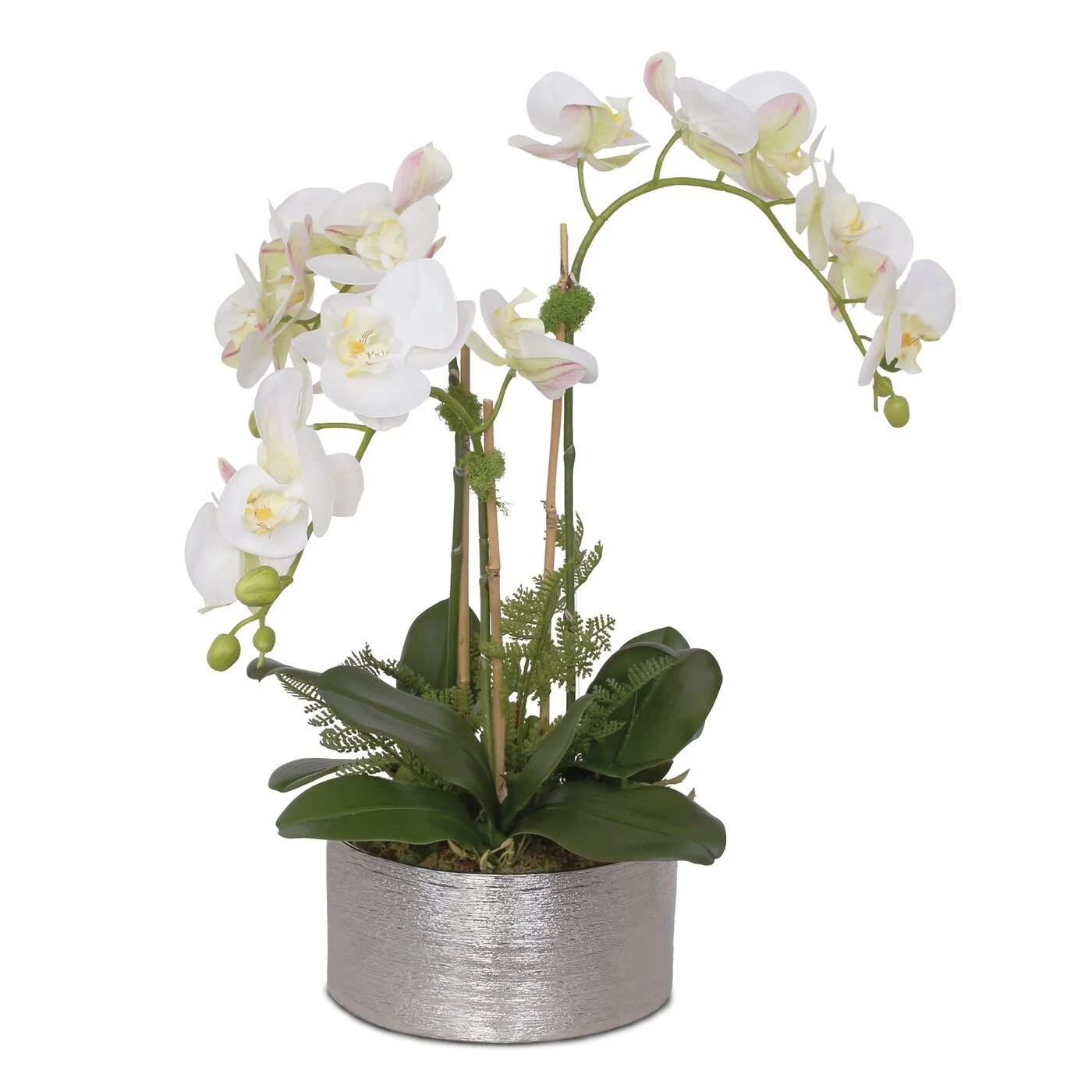 F-119 Real Touch White, Pink Green Orchid Arrangement in Round Silver Ceramic Pot - 18W x 18D x 18H