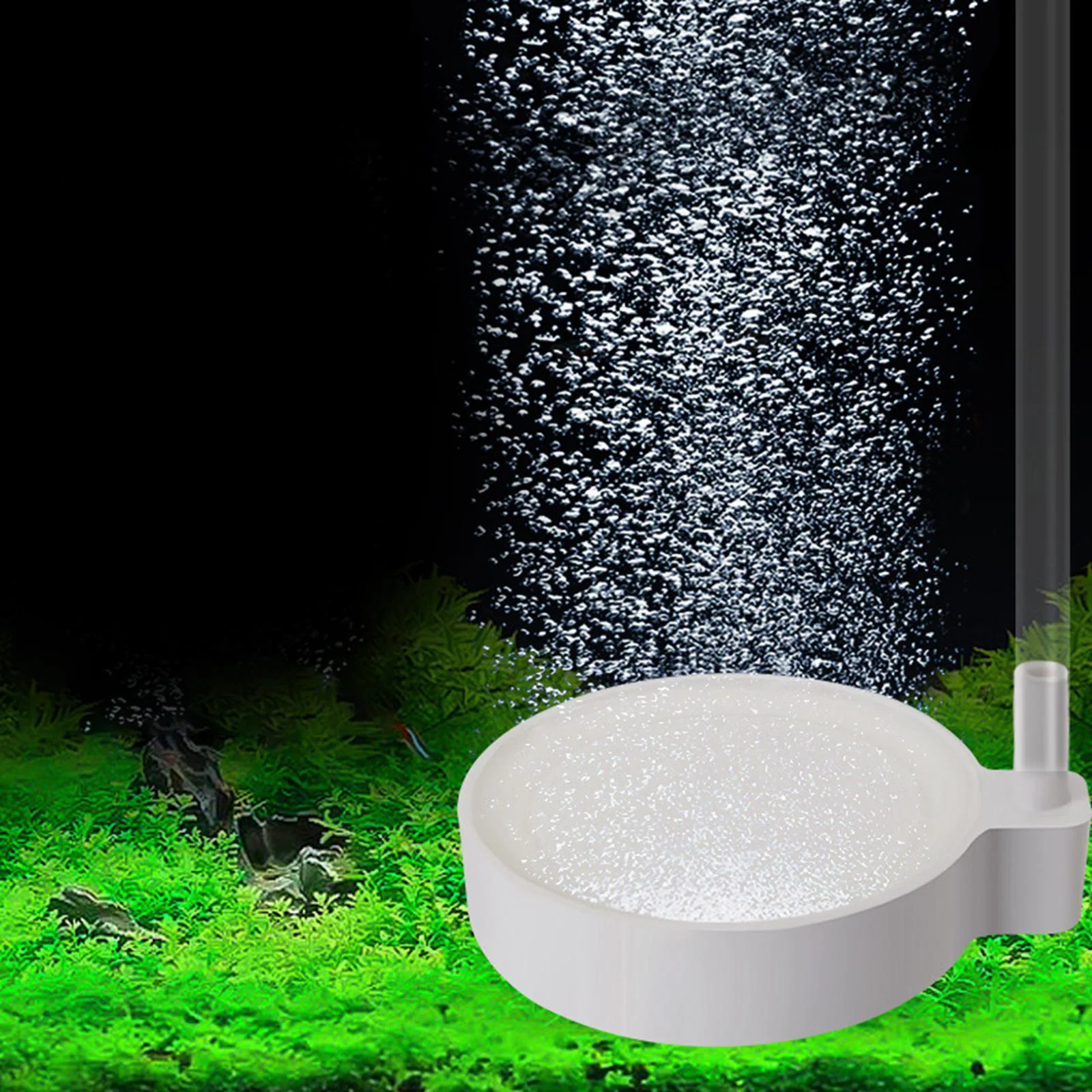 TOOYFUL Aquarium Air Stones Tank Oxygens Stone Multifunctional Quiet Dissolving Oxygens Tank Bubbler Pond Hydroponic 20cm