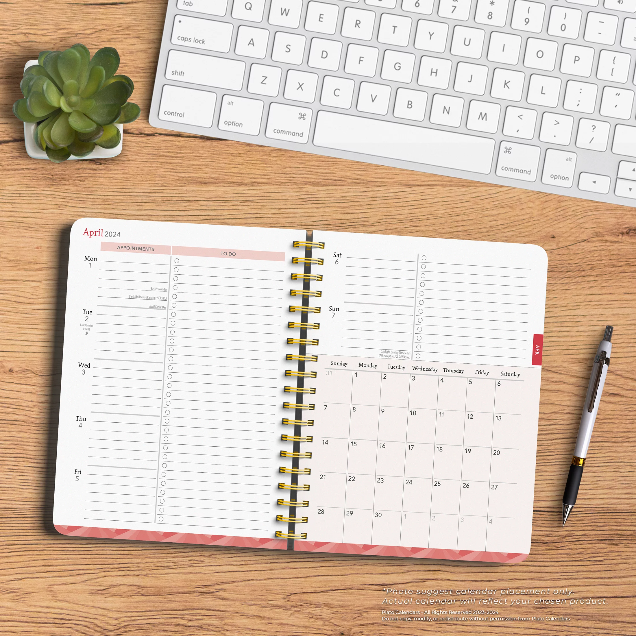 Crackled Blush | 2024 6x7.75