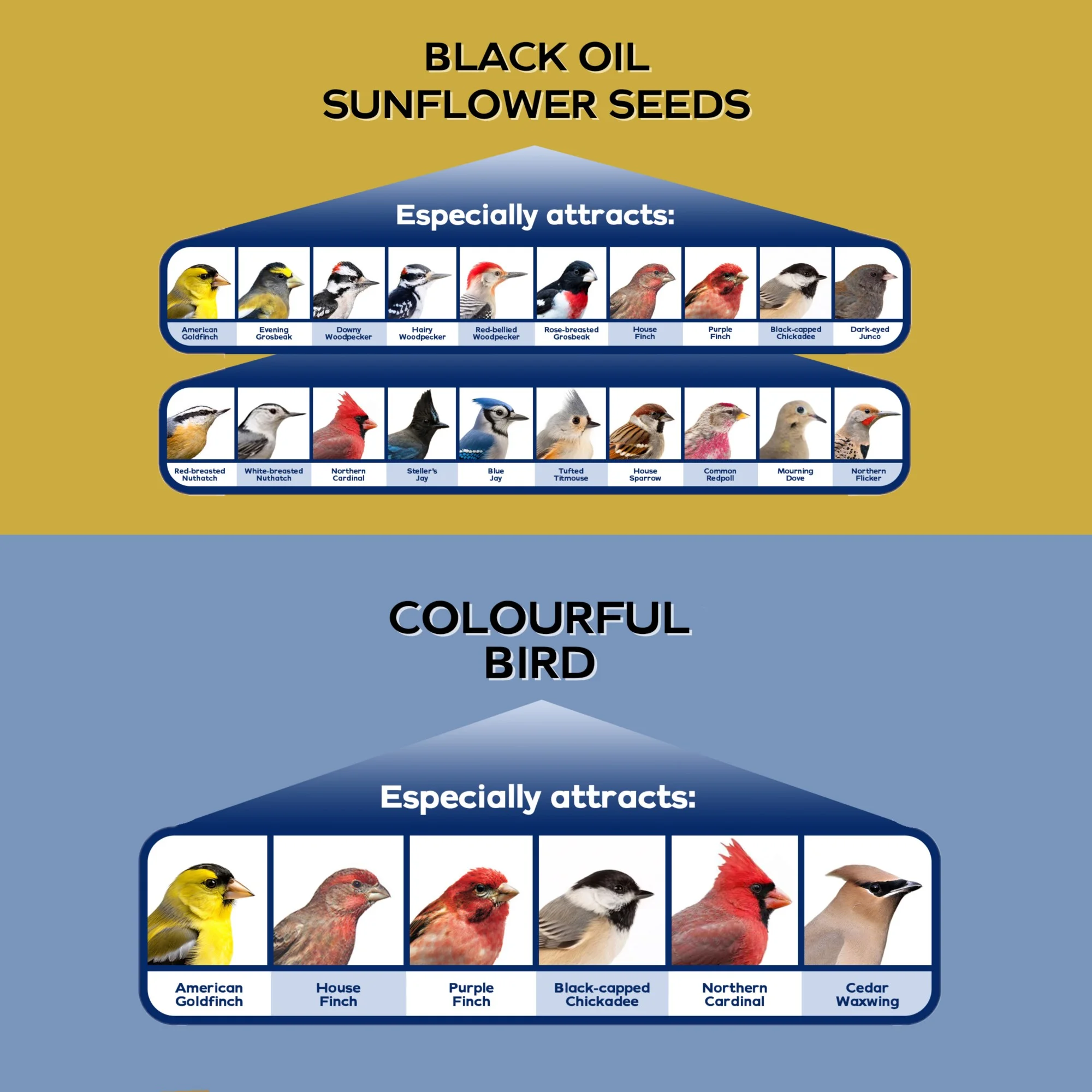 Armstrong Wild Bird Food Combo Pack Black Oil Sunflower Bird Seed, 25lbs and Colourful Bird Blend, 8lbs (Pack of 2)