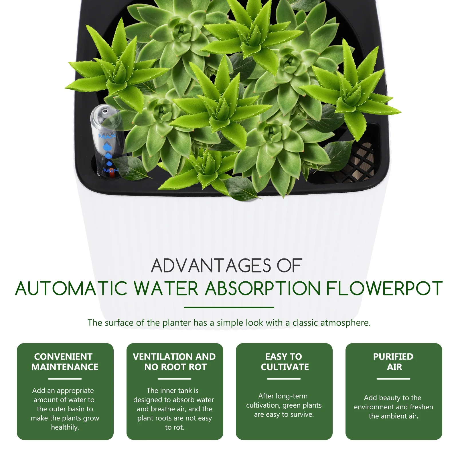 Hanging Pots Green Dill Decorate Plant Flowers for Decoration Type Planter Flowerpot