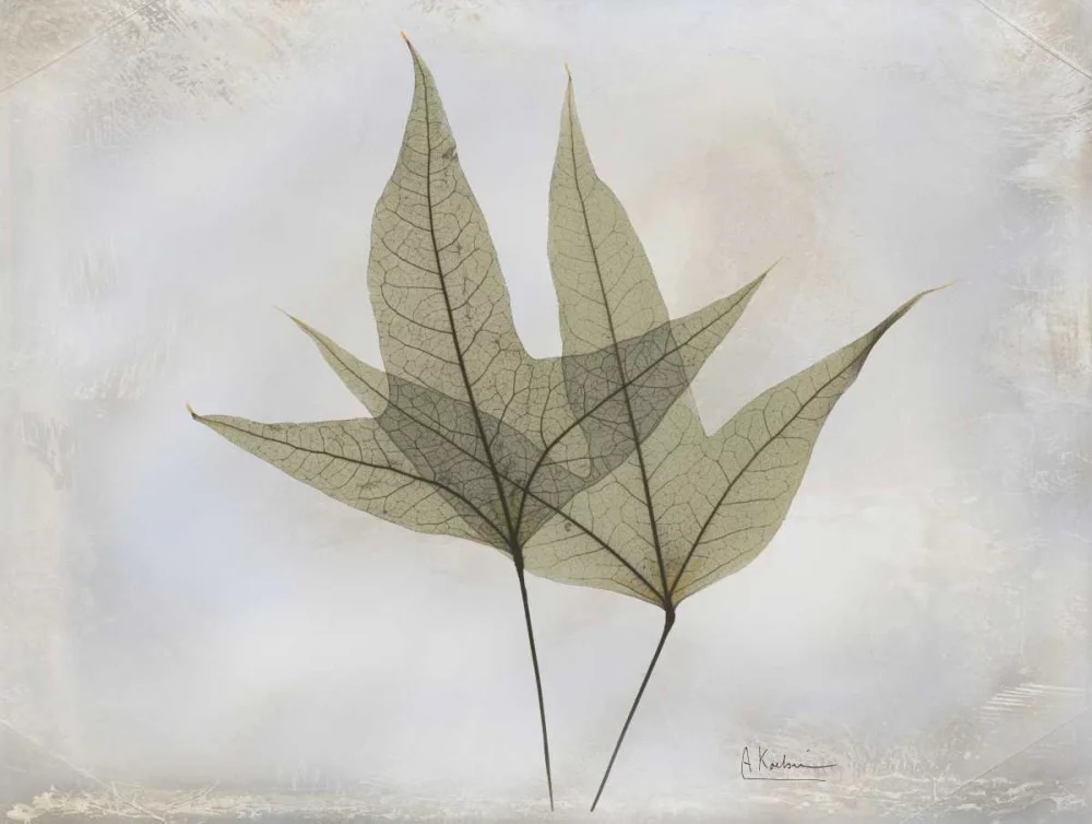 Koetsier, Albert 32x25 Gold Ornate Wood Framed with Double Matting Museum Art Print Titled - Trident Maple E217