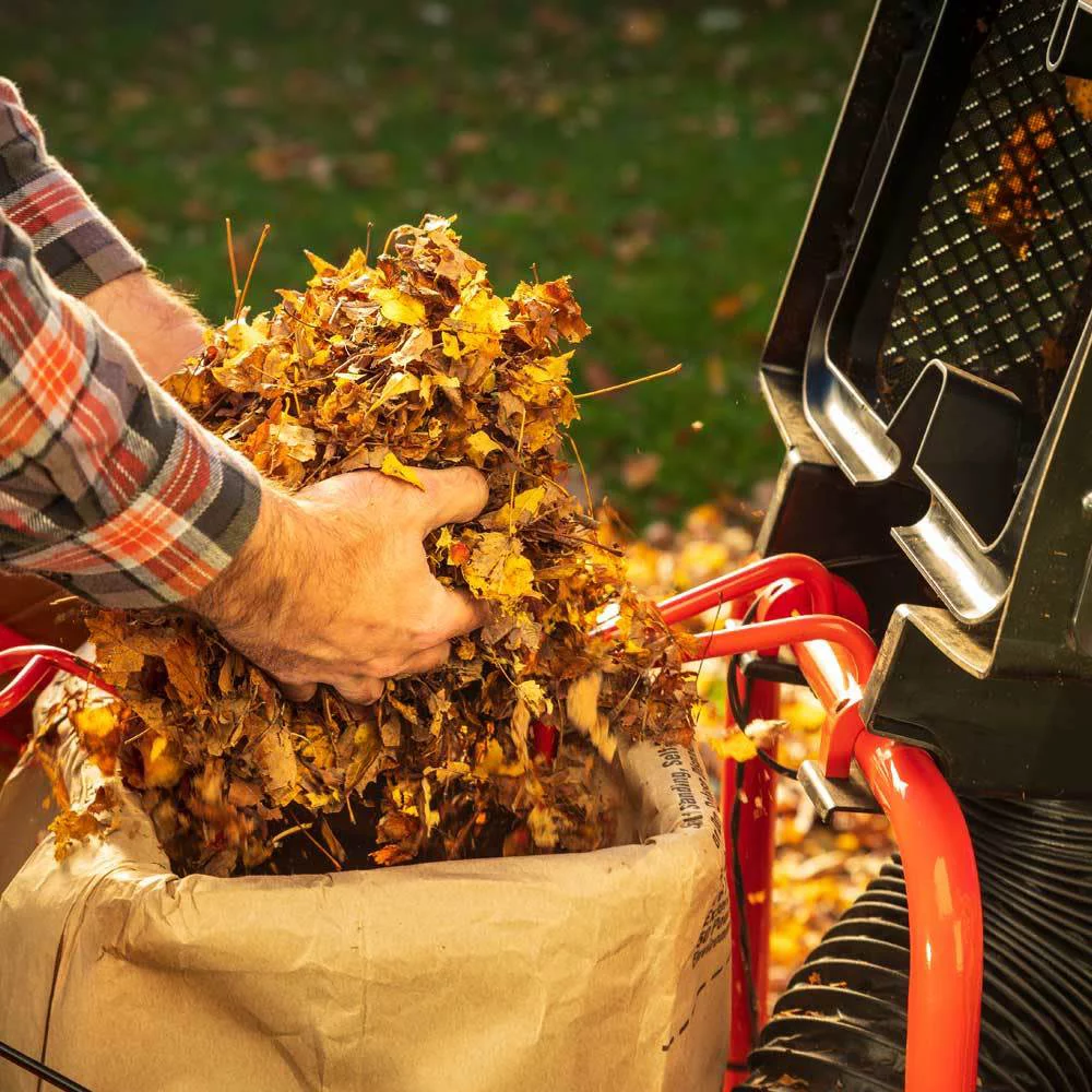 Dr Power Equipment Pilot Xt 173 Cc 4.3Hp Electric/recoil Start Leaf And Lawn Vacuum