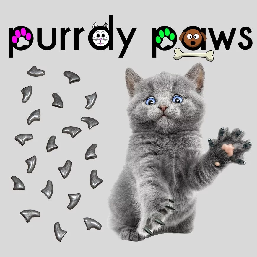 6 Month Supply - Purrdy Paws Steel Grey Soft Nail Caps for Medium Cats Claws - Extra Adhesives