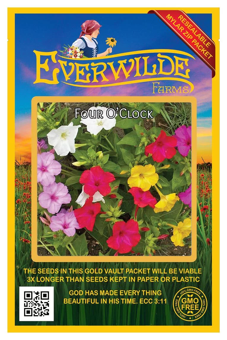 Everwilde Farms - 50 Mixed Four O Clock Garden Flower Seeds - Gold Vault Jumbo Bulk Seed Packet