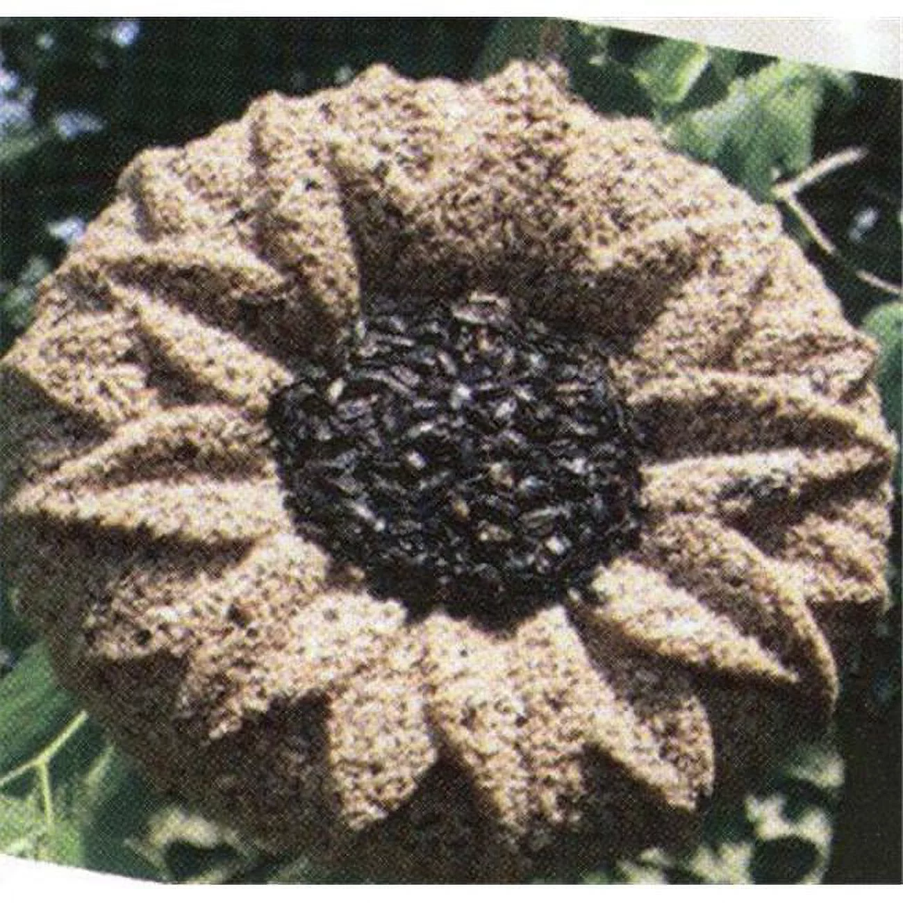 Pine Tree Farms Sunflower Seed Wreath, 3 lbs.