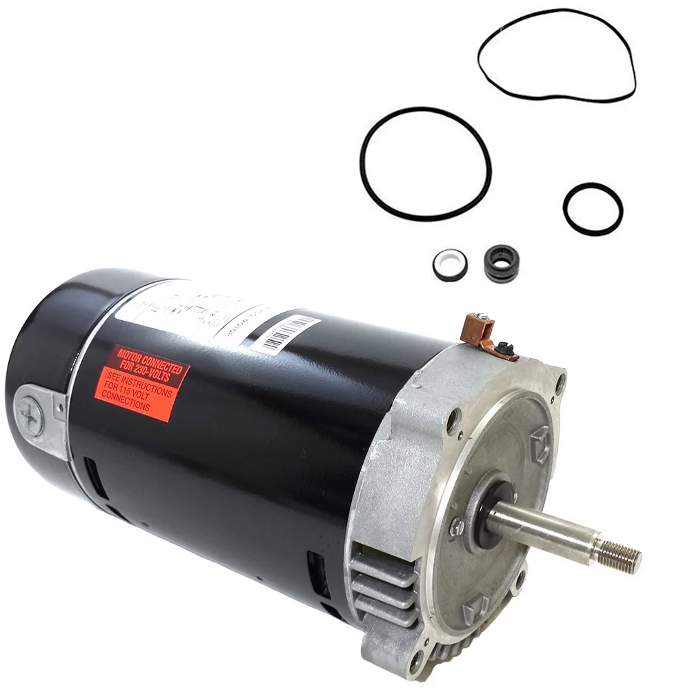 Puri Tech Replacement Motor Kit for Hayward Super II 1 HP SP3007X10AZ AO Smith UST1102 Motor w/ GO-KIT-2