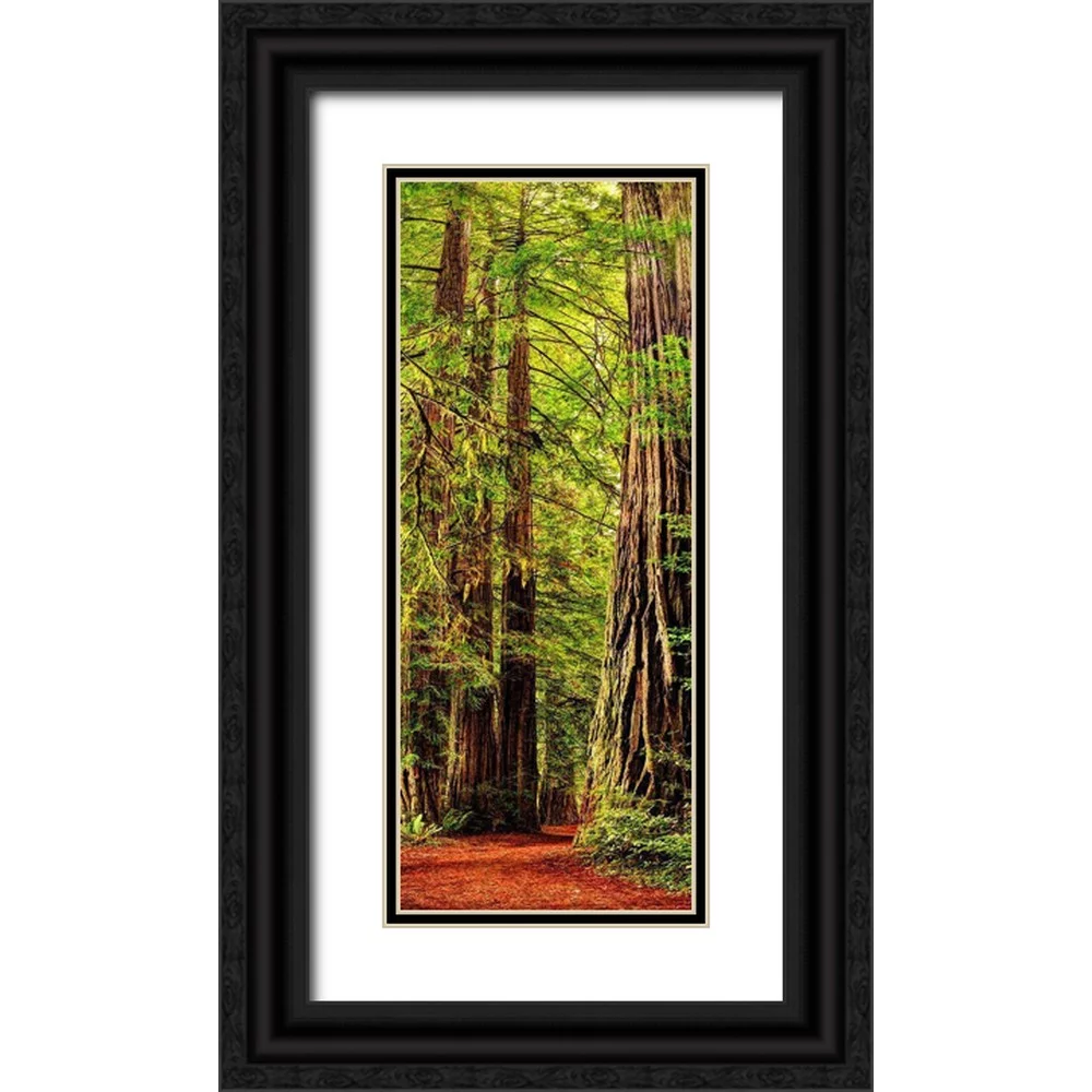 SMO 12x24 Black Ornate Wood Framed with Double Matting Museum Art Print Titled - Vertical panoramic of giant Redwood trees in Redwood National Park-California
