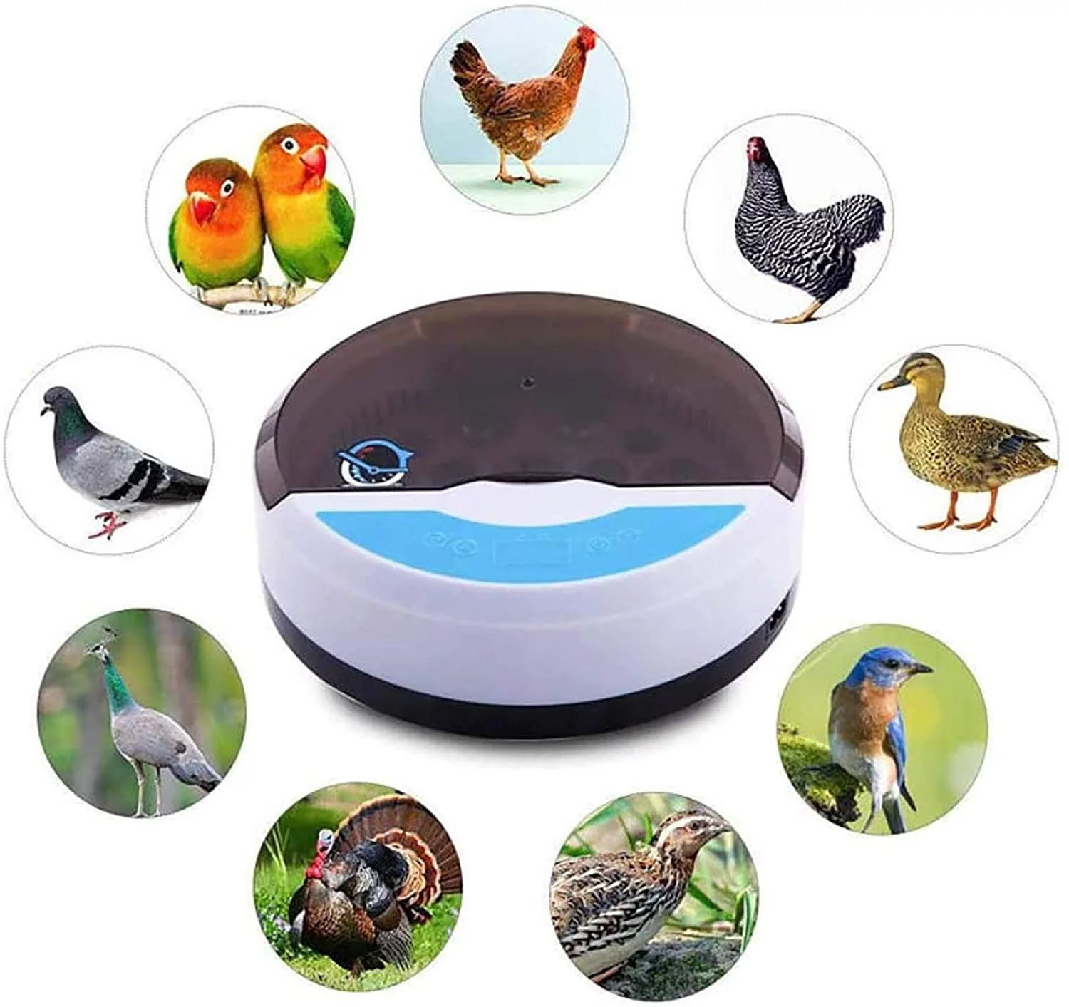 iju7gthy shower head extension hose 4th of july 9 Semi-automatic Temperature Control Poultry Breeding Machine