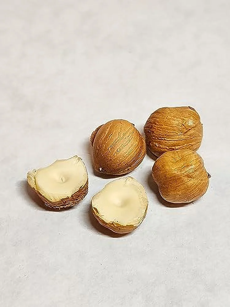 Hazelnuts in-shell from our family orchard in Washington state (Raw, 4 pounds)