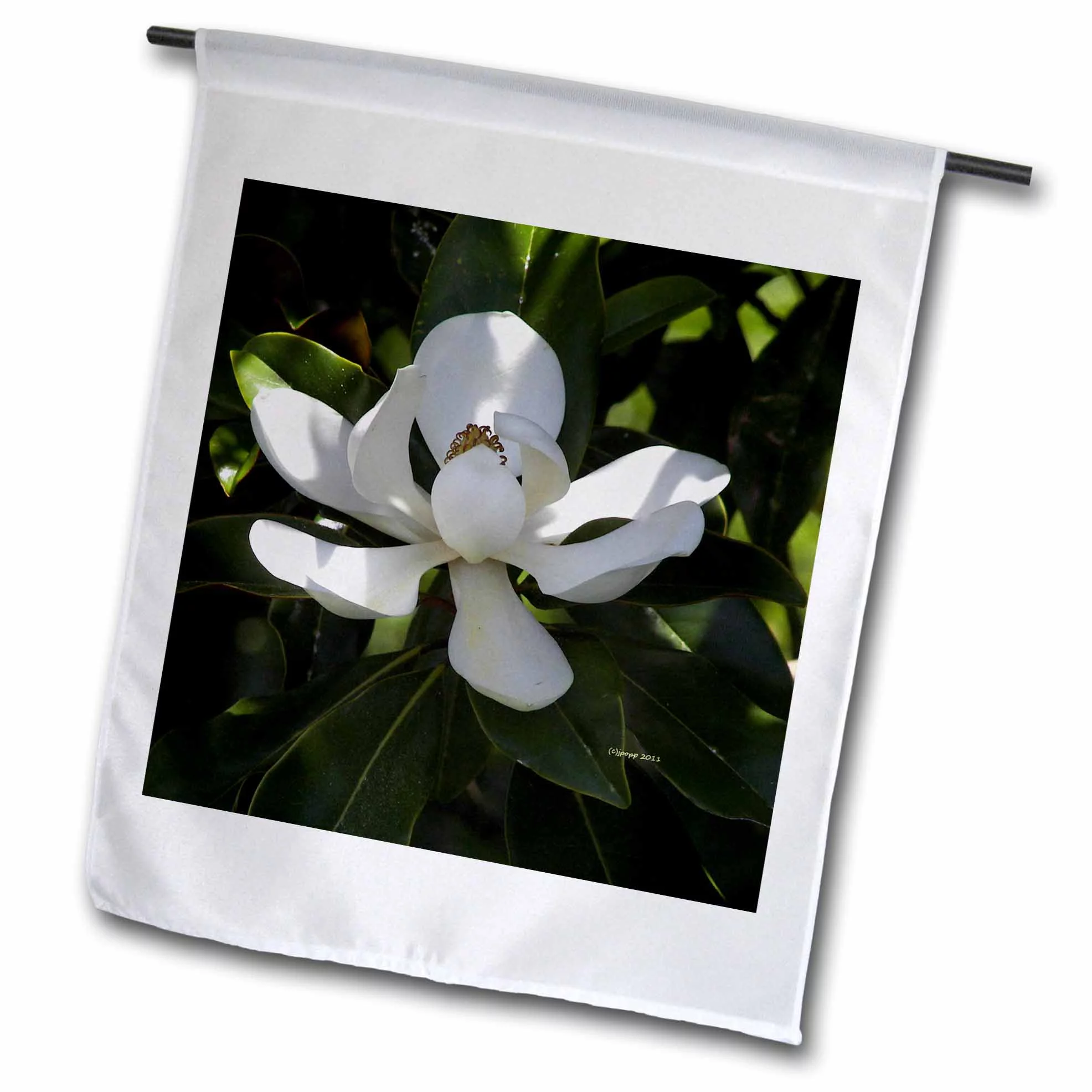 3dRose southern magnolia - Garden Flag, 12 by 18-inch