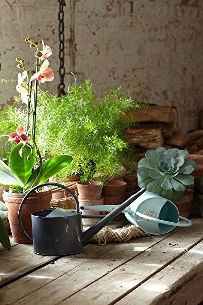 Burgon & Ball Coated Galvanised Steel Long Reach Indoor Watering Can in Buttermilk Cream