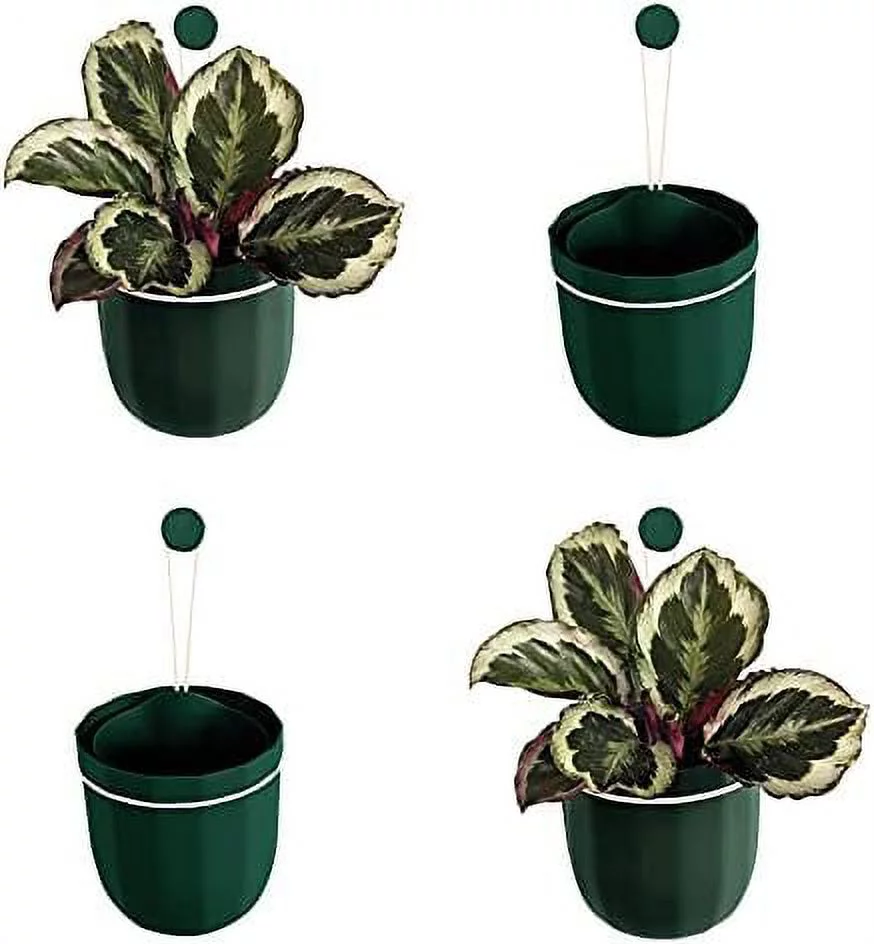 Hanging Planter, Indoor Flowerpot, Hanging Planter for Indoor and Outdoor Planting, Mount or Ceiling (Forest, 4 Pack)