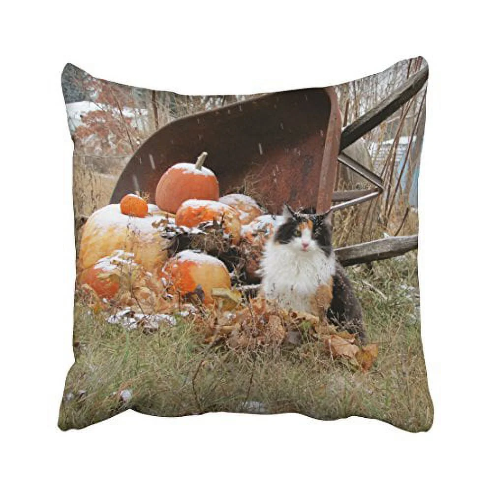 WinHome Decorative Pillowcases Calico Cat Wheelbarrow Of Pumpkins Throw Pillow Covers Cases Cushion Cover Case Sofa 20x20 Inches Two Side