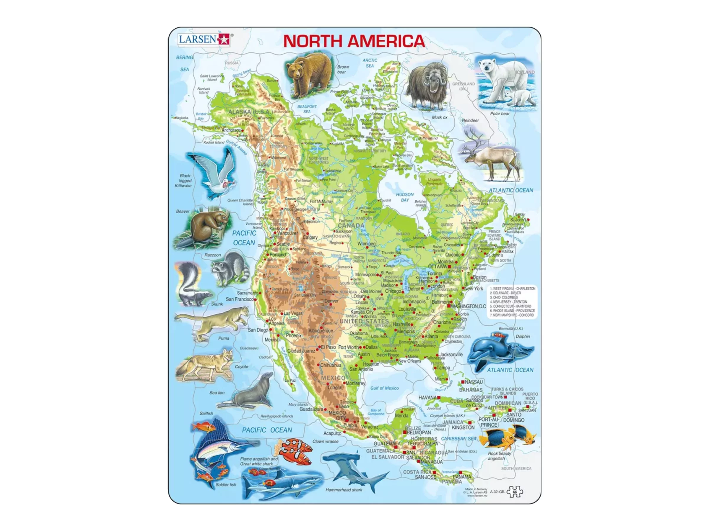 Springbok - North American Map with Animals - jigsaw puzzle - 66 pieces