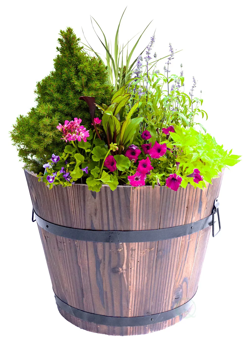Wooden Whiskey Barrel Planters, Medium