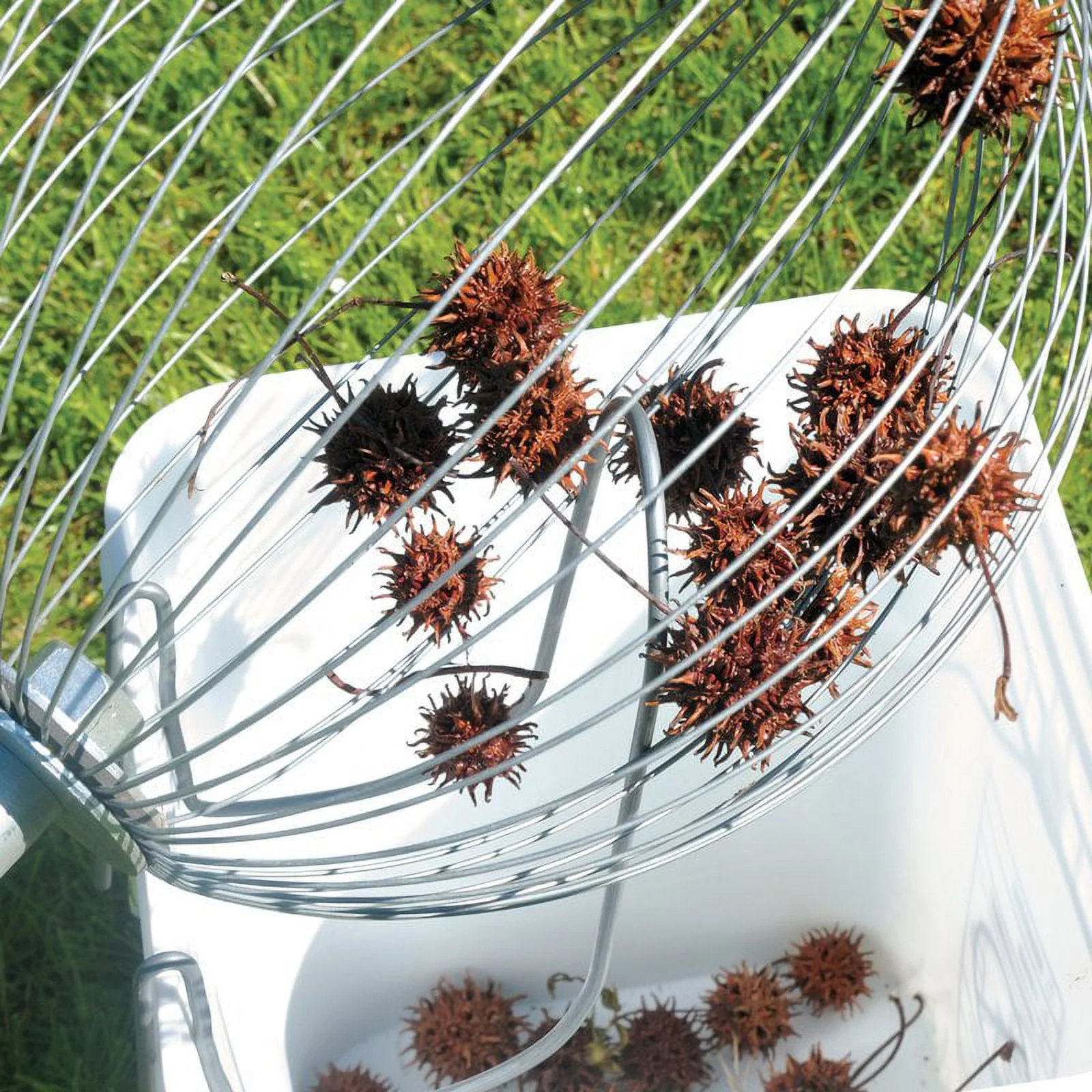 Seeds and Such Nut Wizard Gathers, Collects and Picks Up Nuts and Seeds, Large 59.5 inch 1.75 gal