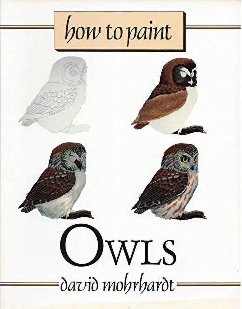 Pre-Owned How to Paint Owls: A Guide to Materials, Tools, and Technique Paperback