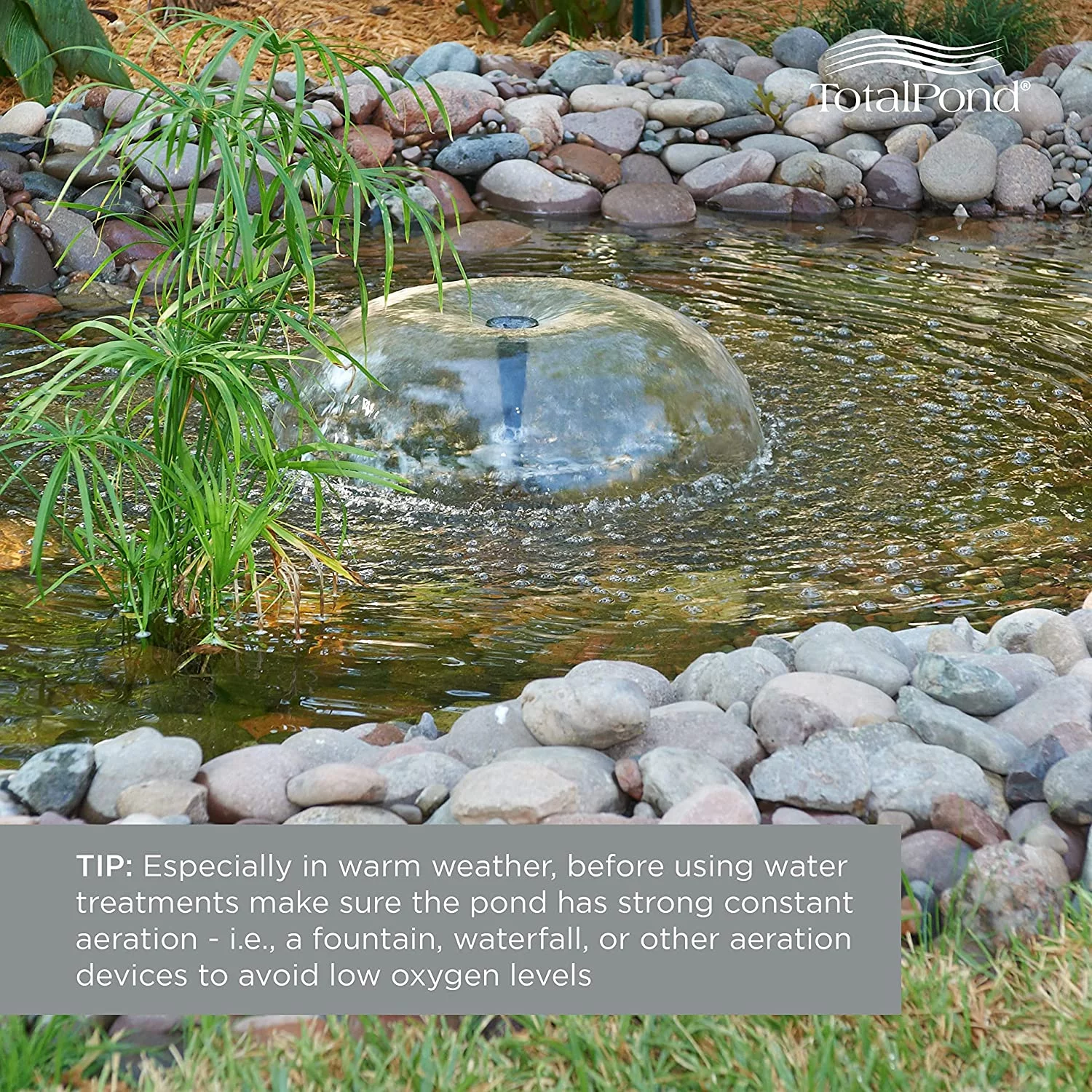 totalpond barley pond clarifier, 8-ounce