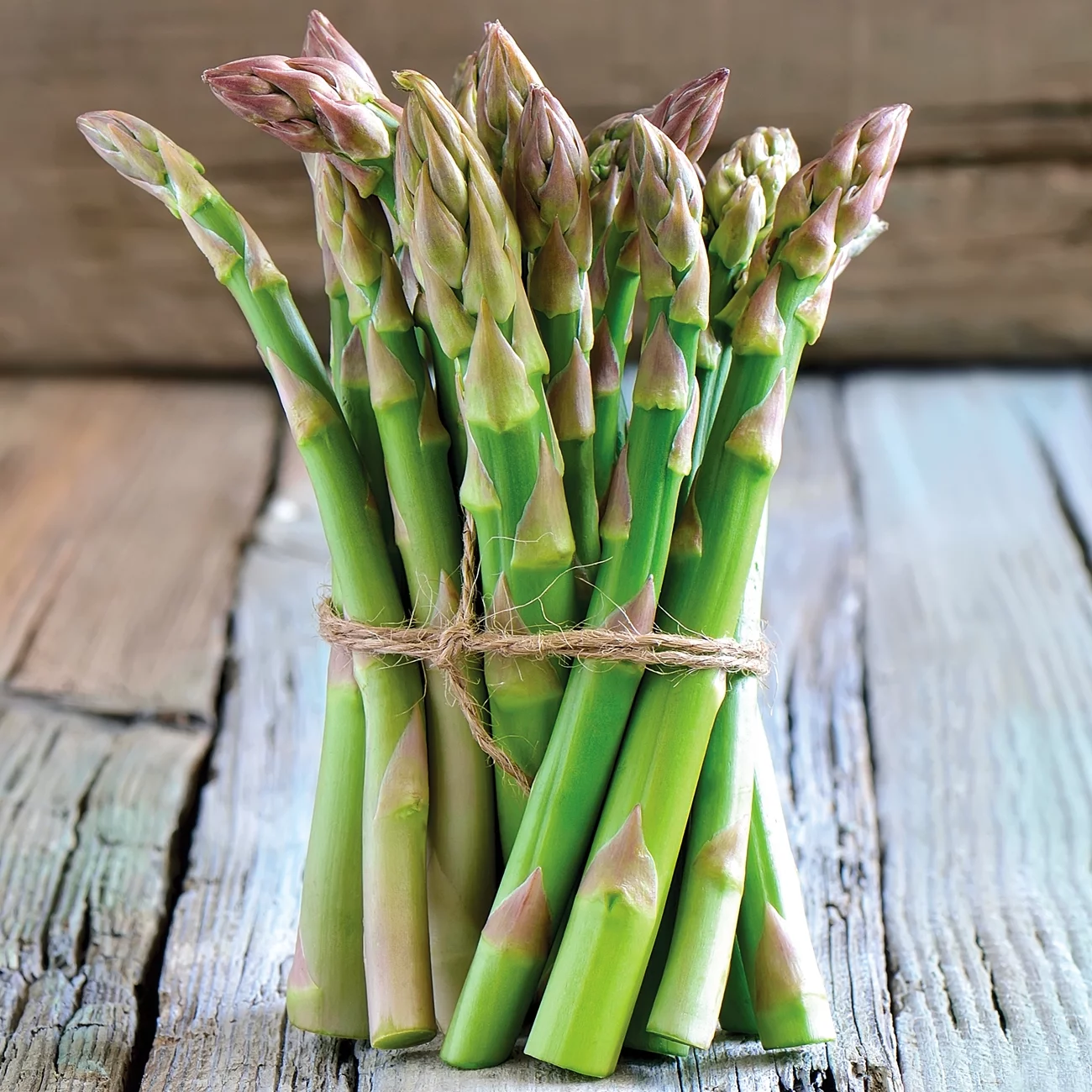 Van Zyverden Asparagus Jersey Giant Dormant Plant Bare Root Full Sun, Multi-Color