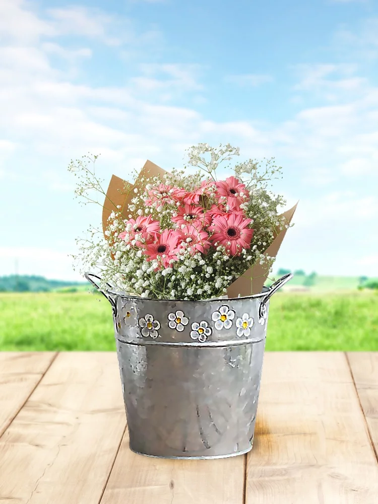 BToBackyard 210323AH01-1脳2