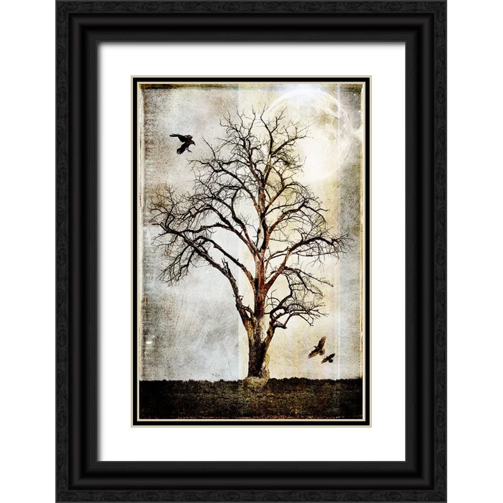 LightBoxJournal 11x14 Black Ornate Wood Framed with Double Matting Museum Art Print Titled - Cottonwood Tree Part 02
