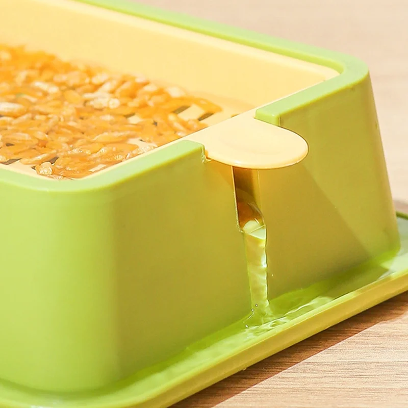 Pet Cat Grass Sprout Dish Growing Pot Hydroponic Plant Cat Snacks Germination Digestion Starter Dish Greenhouse Grow Box