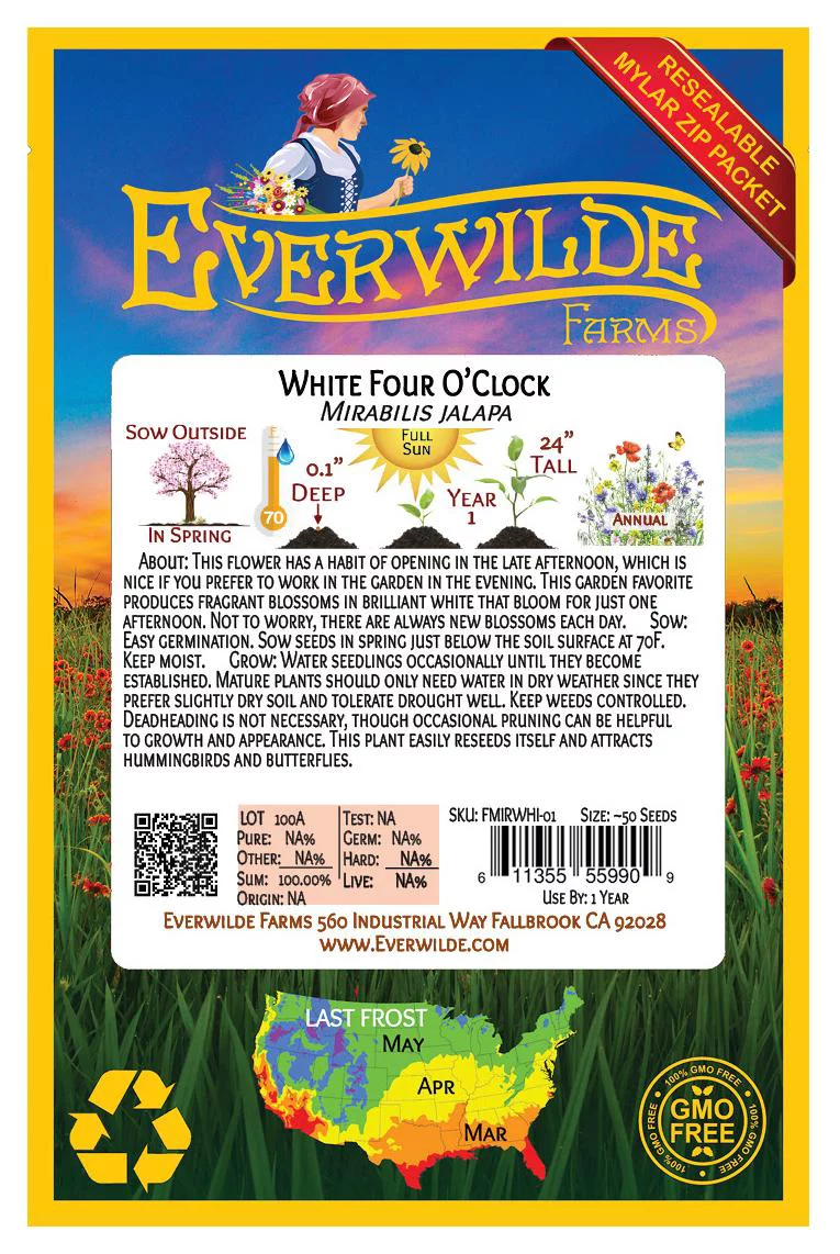 Everwilde Farms - 50 White Four O Clock Garden Flower Seeds - Gold Vault Jumbo Bulk Seed Packet