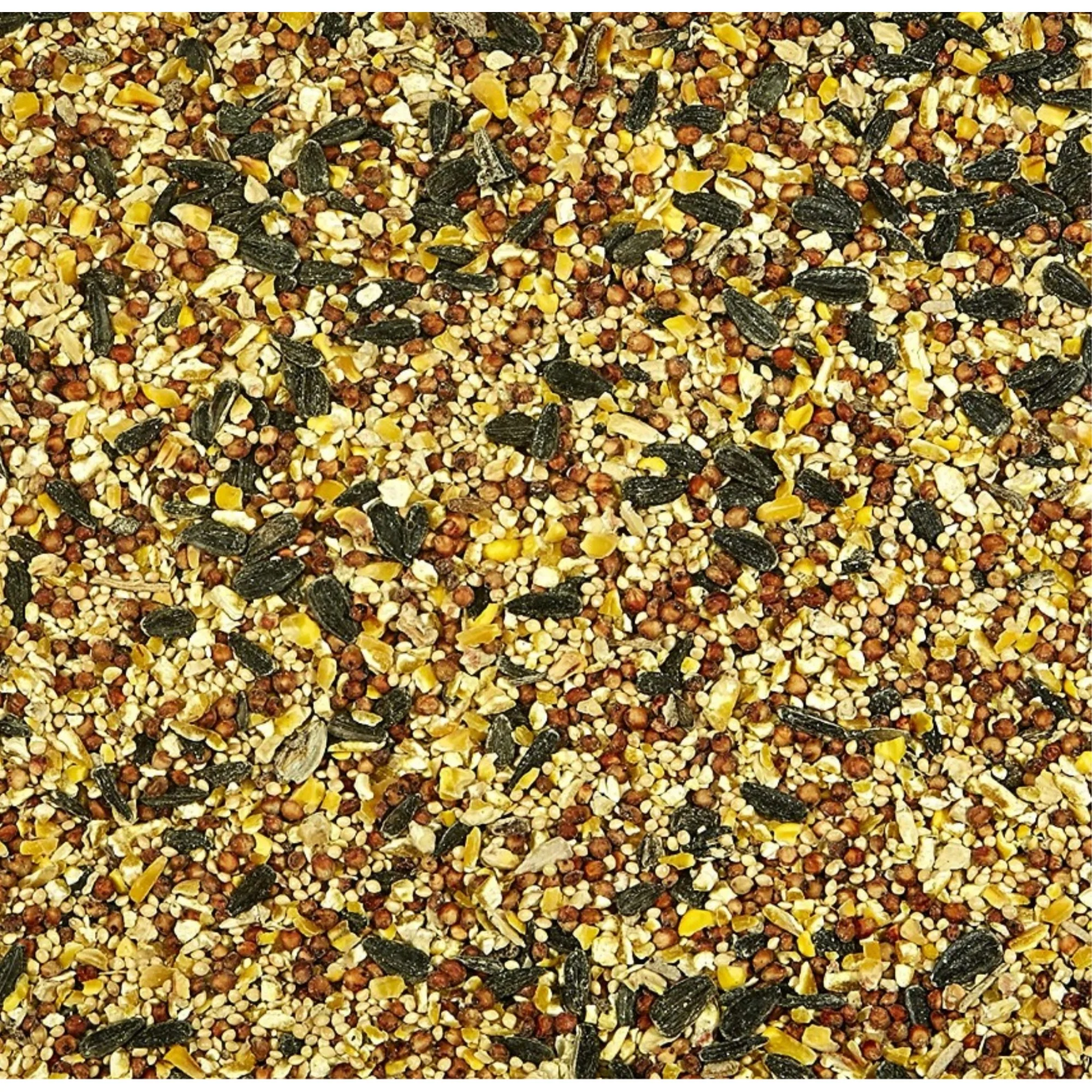 Kaytee Wild Bird Food Basic Blend with Grains and Black Oil Sunflower Seed