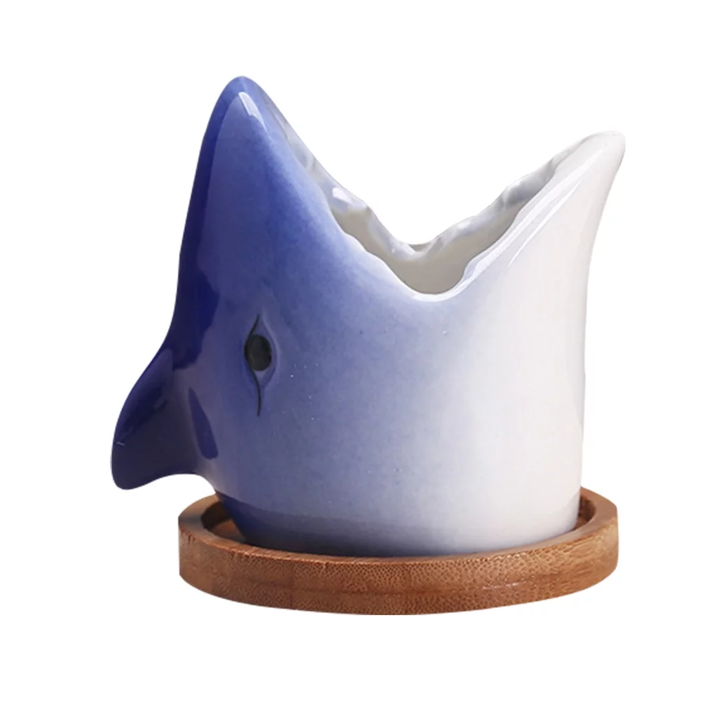 Cartoon Succulent Plant Pots Gardening Flowerpot Unique Ceramic Planter