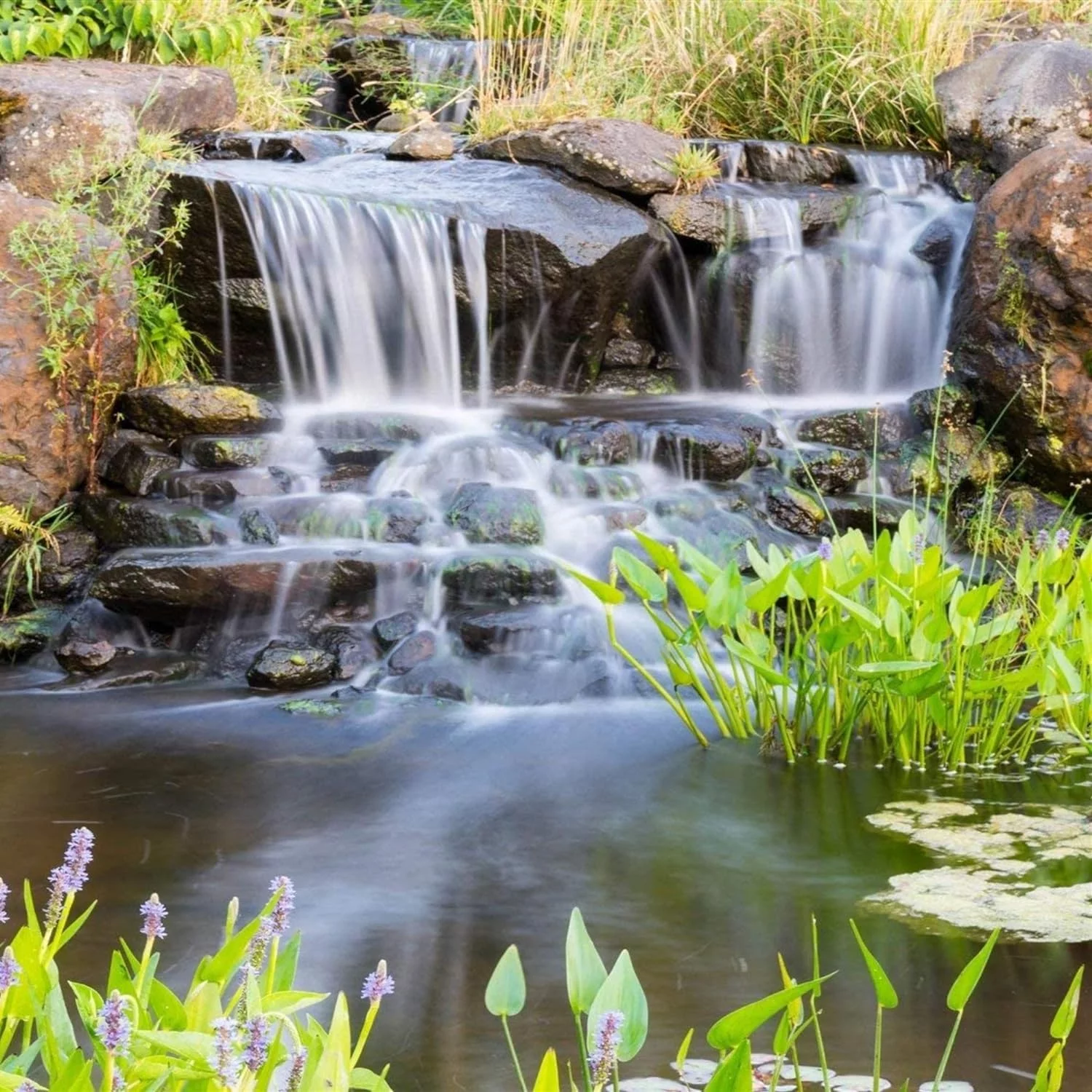 Minuteman Ionizer - Pond Water Management System, For Ponds To 25,000 Gallons