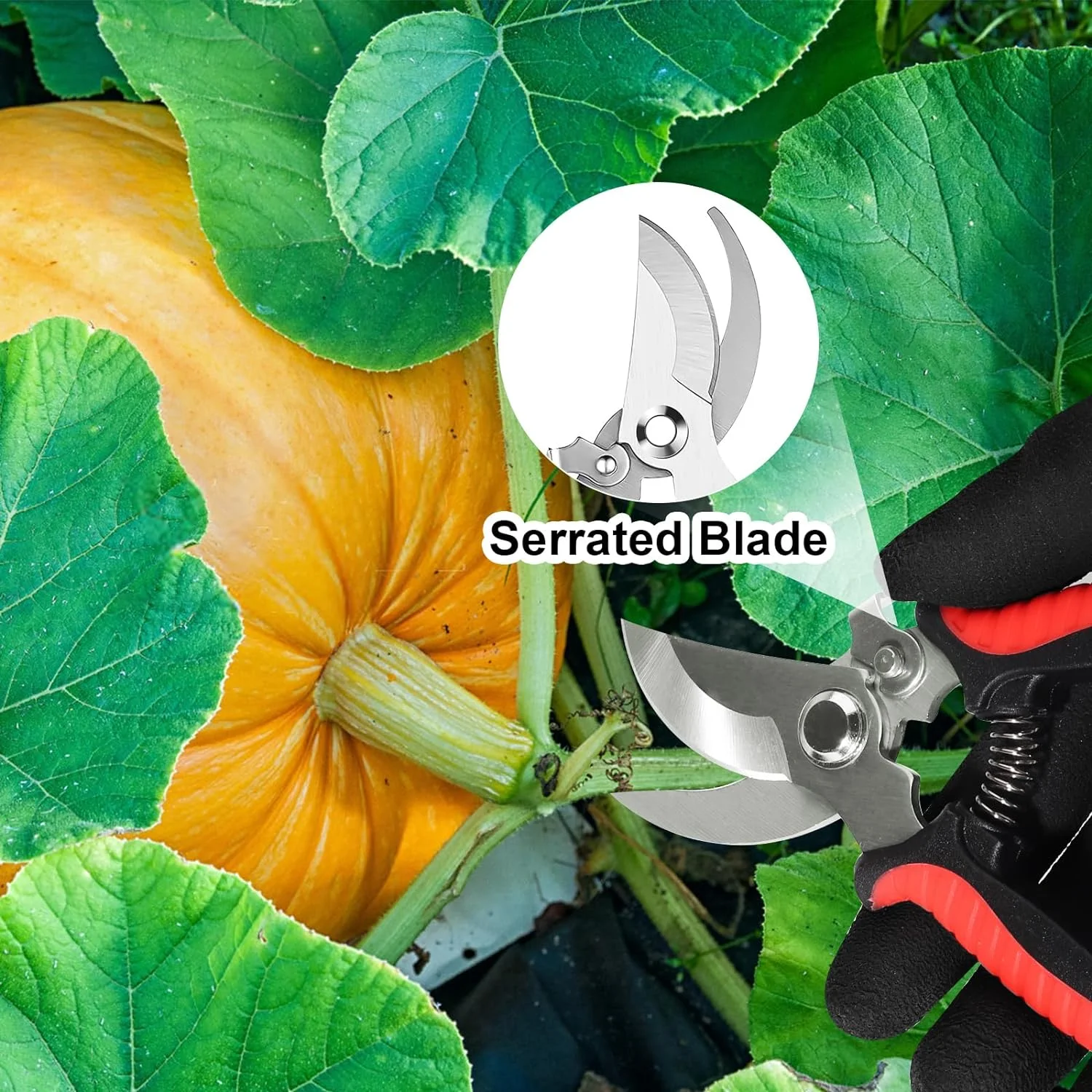 3 Pack Garden Pruning Shears Stainless Steel Blades Handheld Pruners Set with Gardening Gloves
