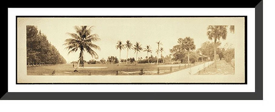 Historic Framed Print, FL Royal Poinciana Palm Beach 1912 PHOTO, 36-3/8
