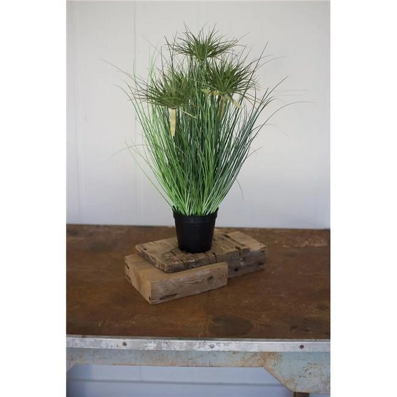 Kalalou CYF1191 24 in. Grass with Five Heads with Plastic Pot - Case of 4