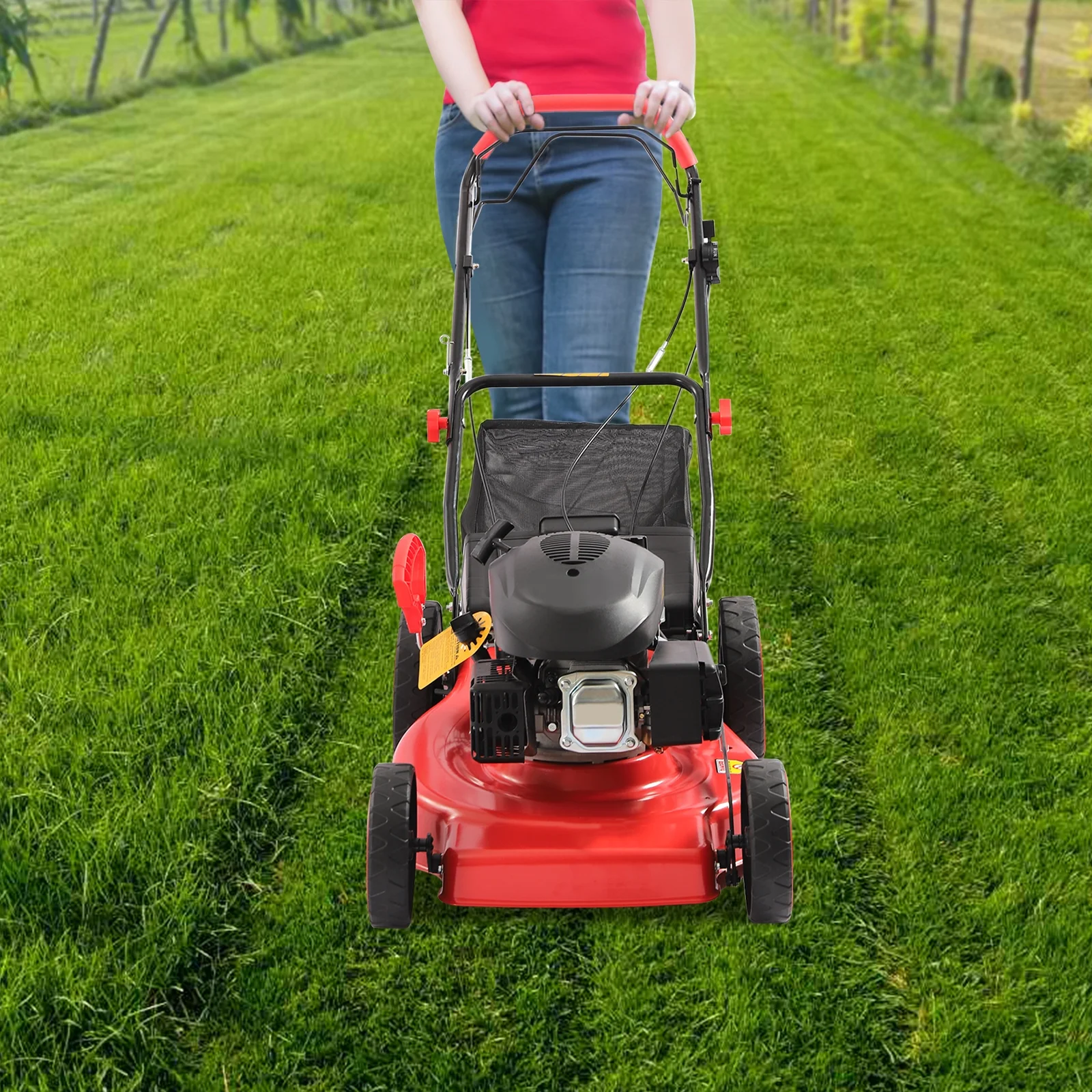 173cc 4-Stroke Engine Gas Powered Lawn Mower Walk-Behind+Grass Collecting Bag