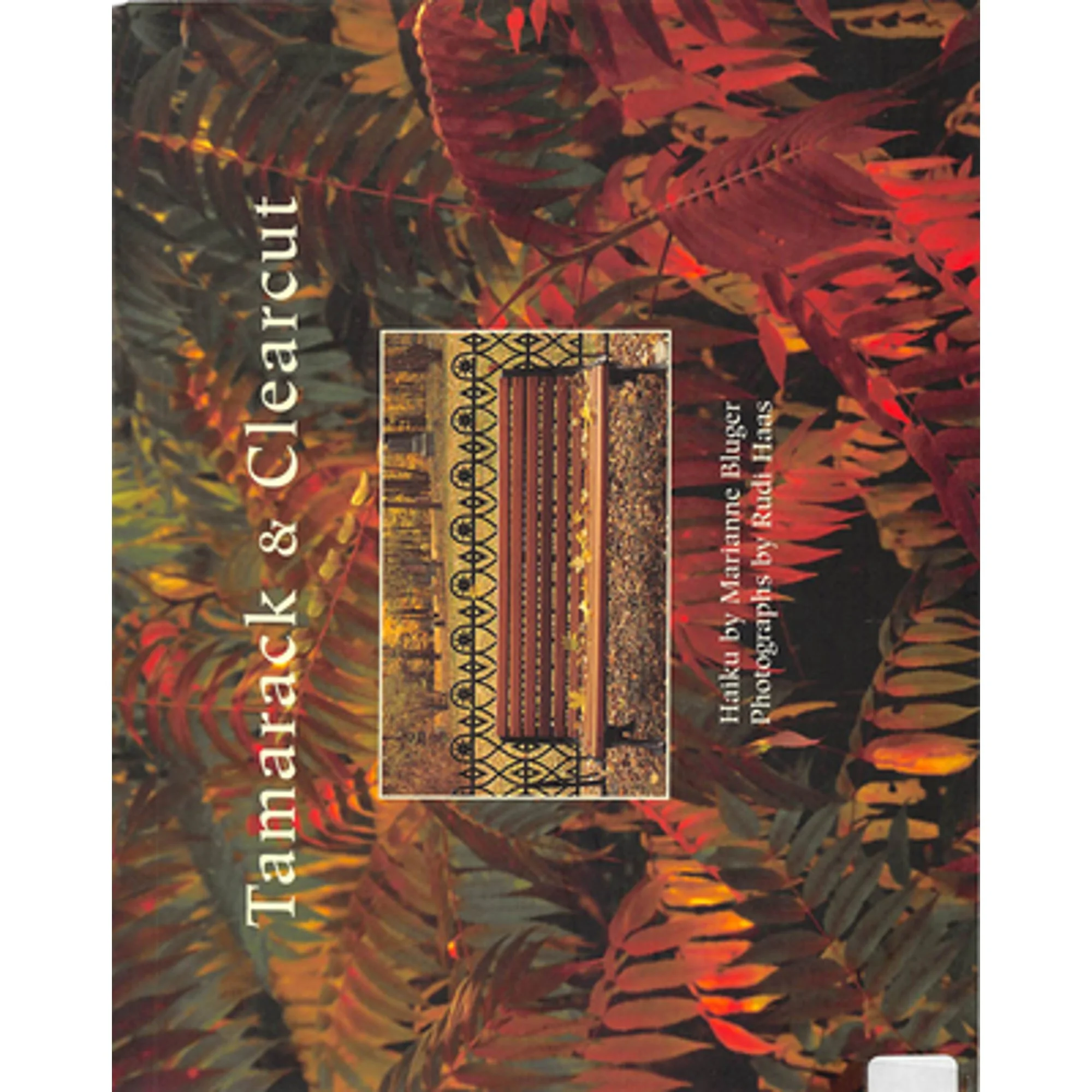 Pre-Owned Tamarack & Clearcut (Paperback 9780886292935) by Marianne Bluger, Rudi Haas