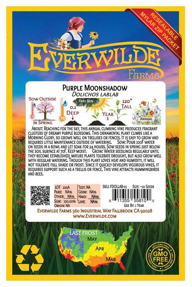 Everwilde Farms - 10 Purple Moonshadow Garden Flower Seeds - Gold Vault Jumbo Bulk Seed Packet